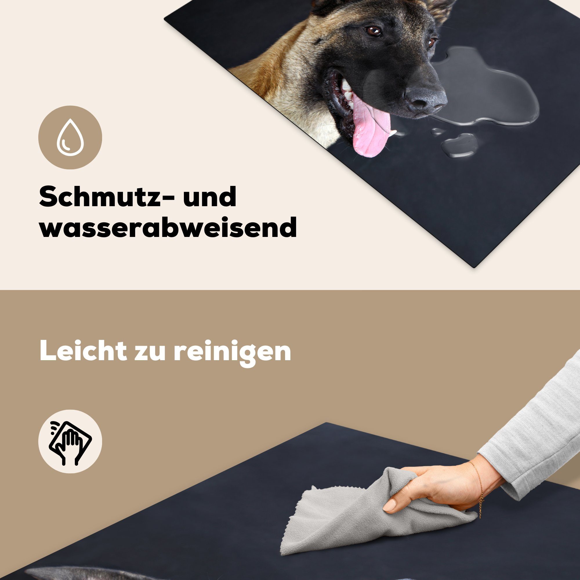 Ein die Malinois-Schäferhund schaut Induktionskochfeld Vinyl, MuchoWow cm, 81x52 Ceranfeldabdeckung für Schutz küche, auf, Herdblende-/Abdeckplatte tlg), (1
