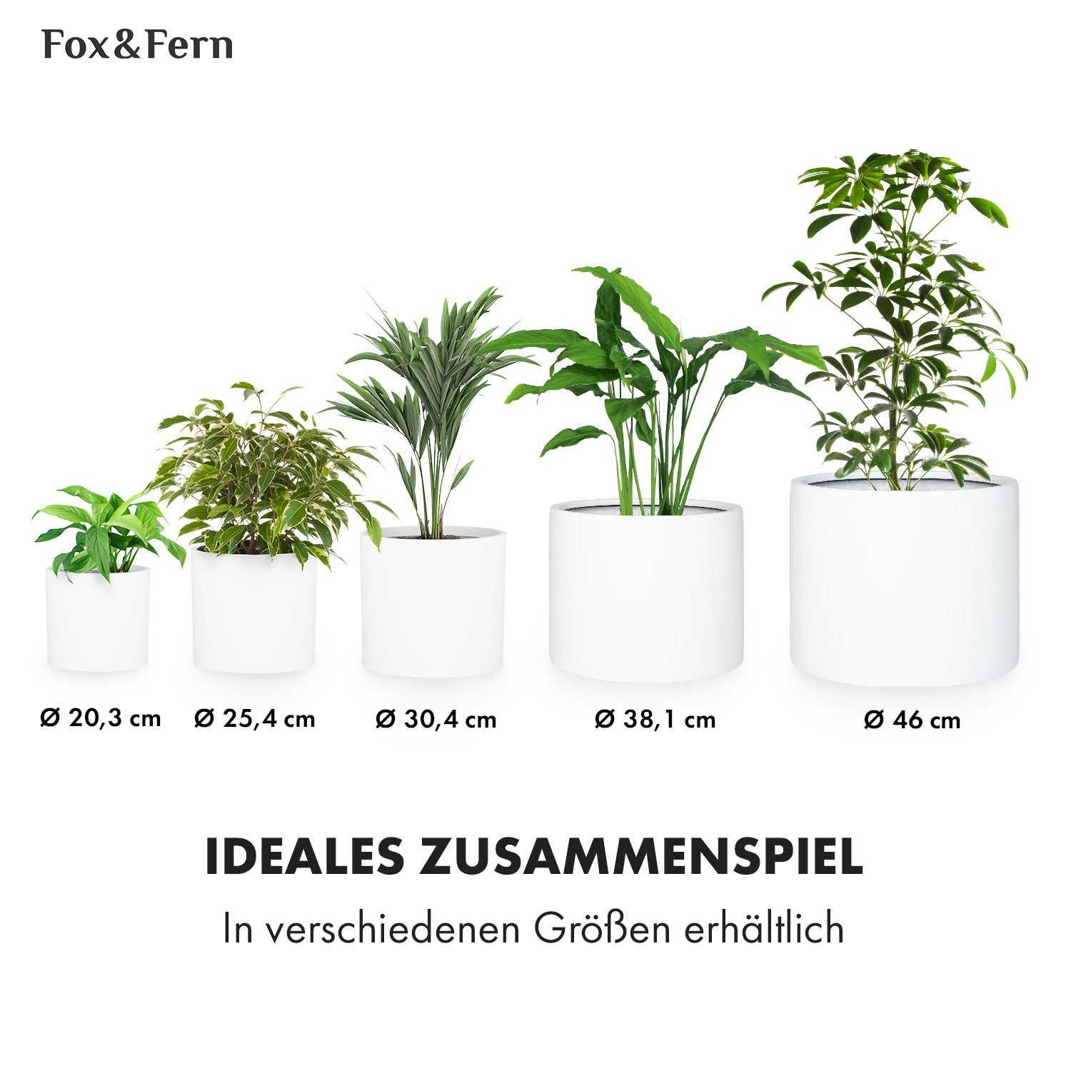 Fox & Fern Hochbeet Gendt