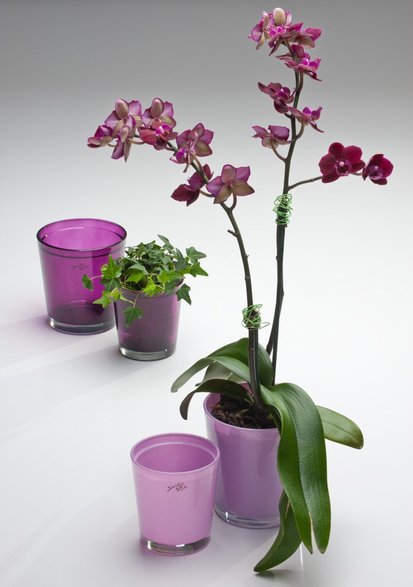 Sandra Rich Blumentopf Orchideentopf flieder Orchid konisch von Rich Sandra