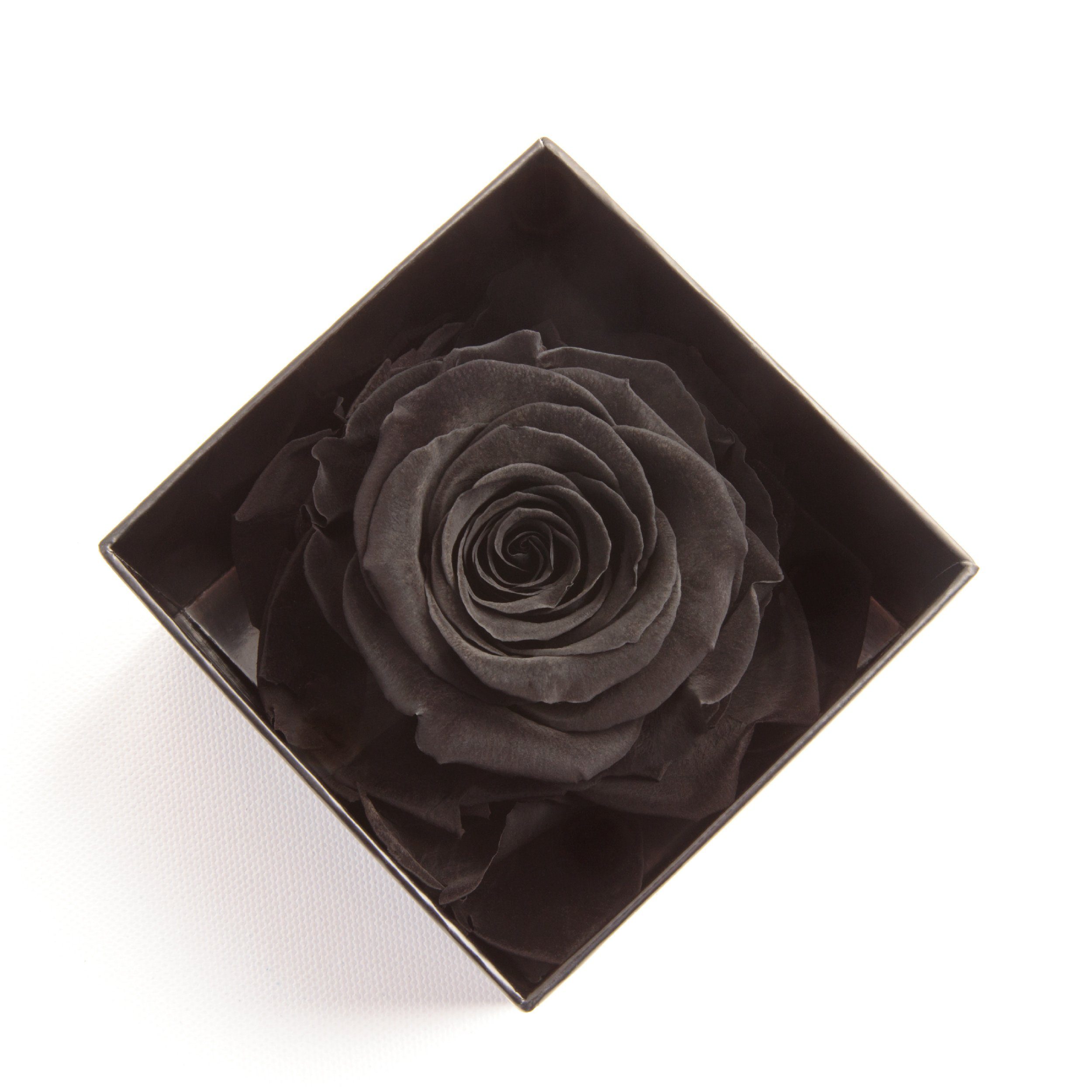 Kunstblume Infinity Rose Schwarz Höhe konserviert Liebesbeweis Box You Love cm, Geschenk Echte Rose, 6 ROSEMARIE Rose SCHULZ I Heidelberg, Idee