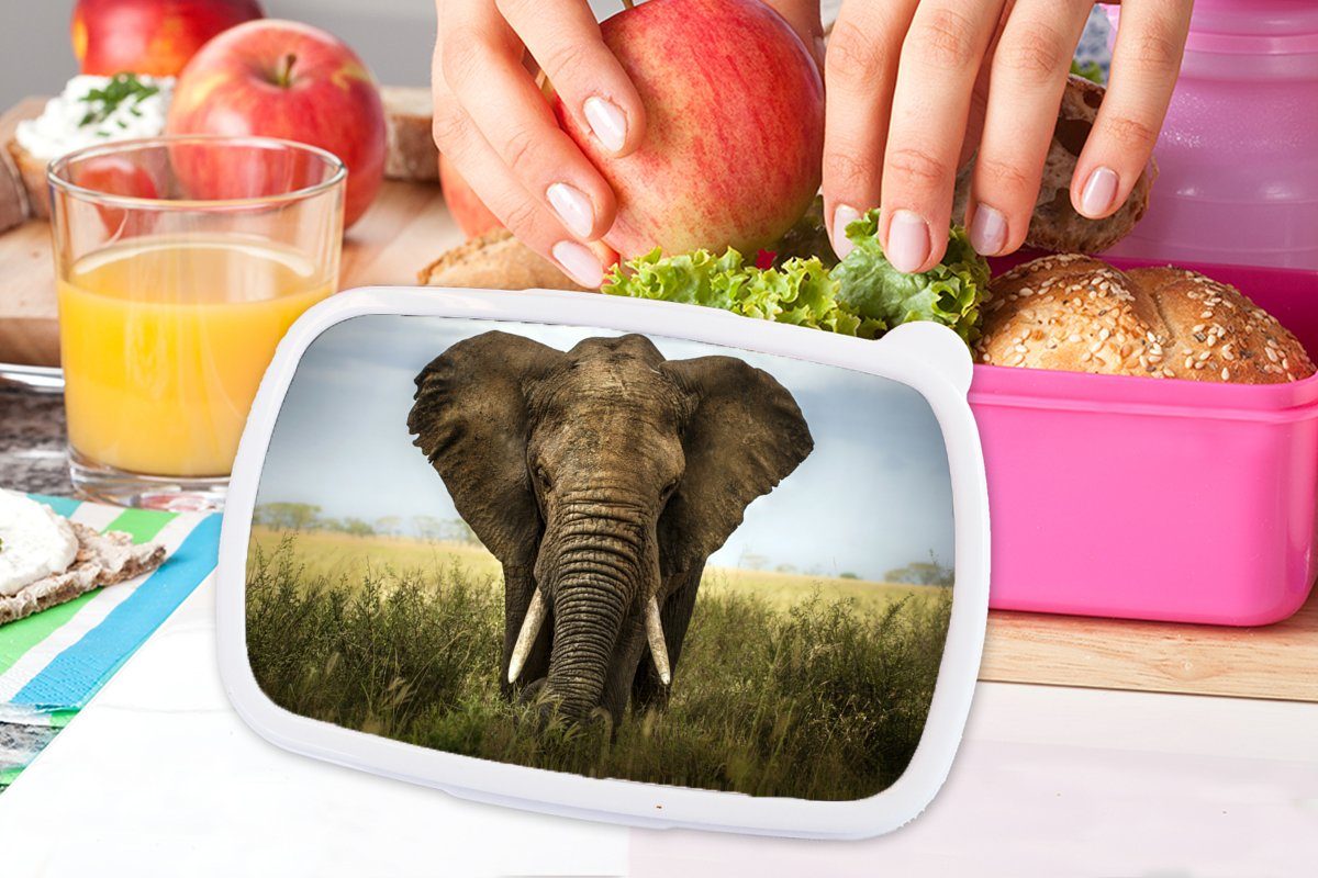 Kunststoff Kinder, Elefant MuchoWow Natur Brotbox Gras - für - Landschaft, Erwachsene, - Lunchbox - Kunststoff, Mädchen, Snackbox, (2-tlg), Tiere Brotdose rosa
