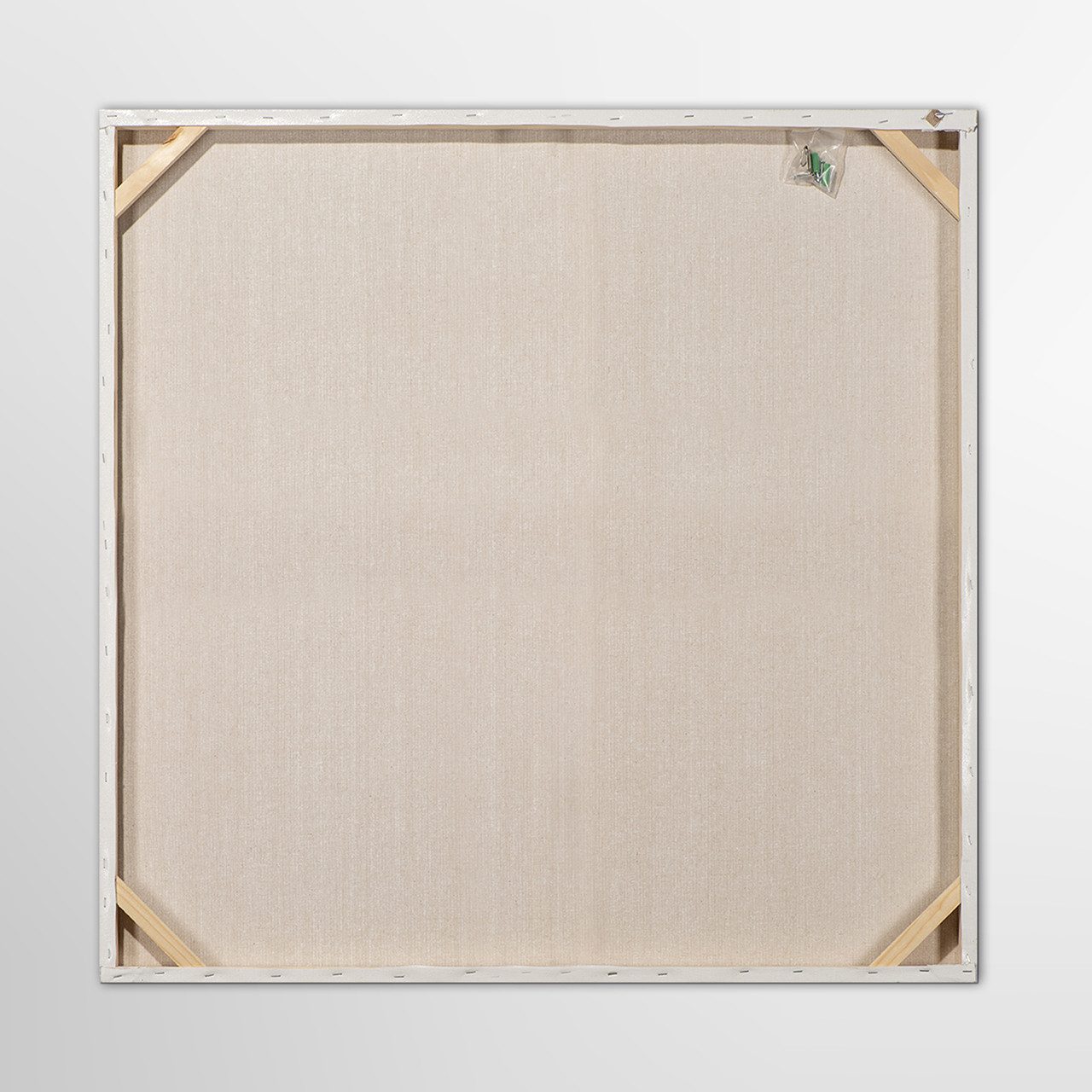 ArtUniverse Gemälde White Bully 40 x 40 cm, Tiermotiv
