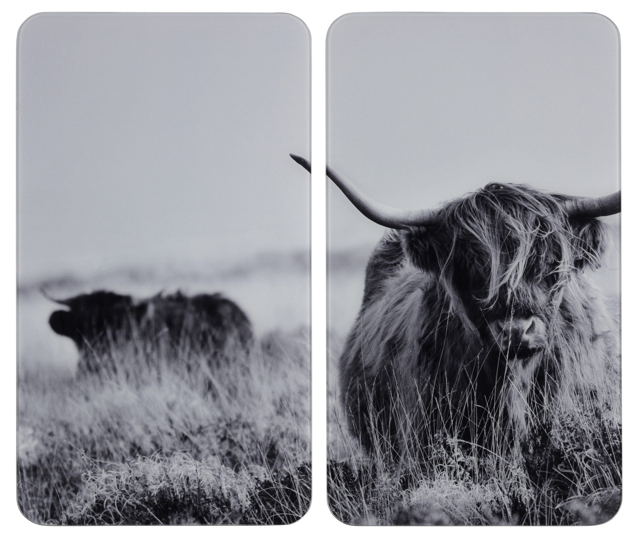 Herd-Abdeckplatte Universal Modell Highland Cattle