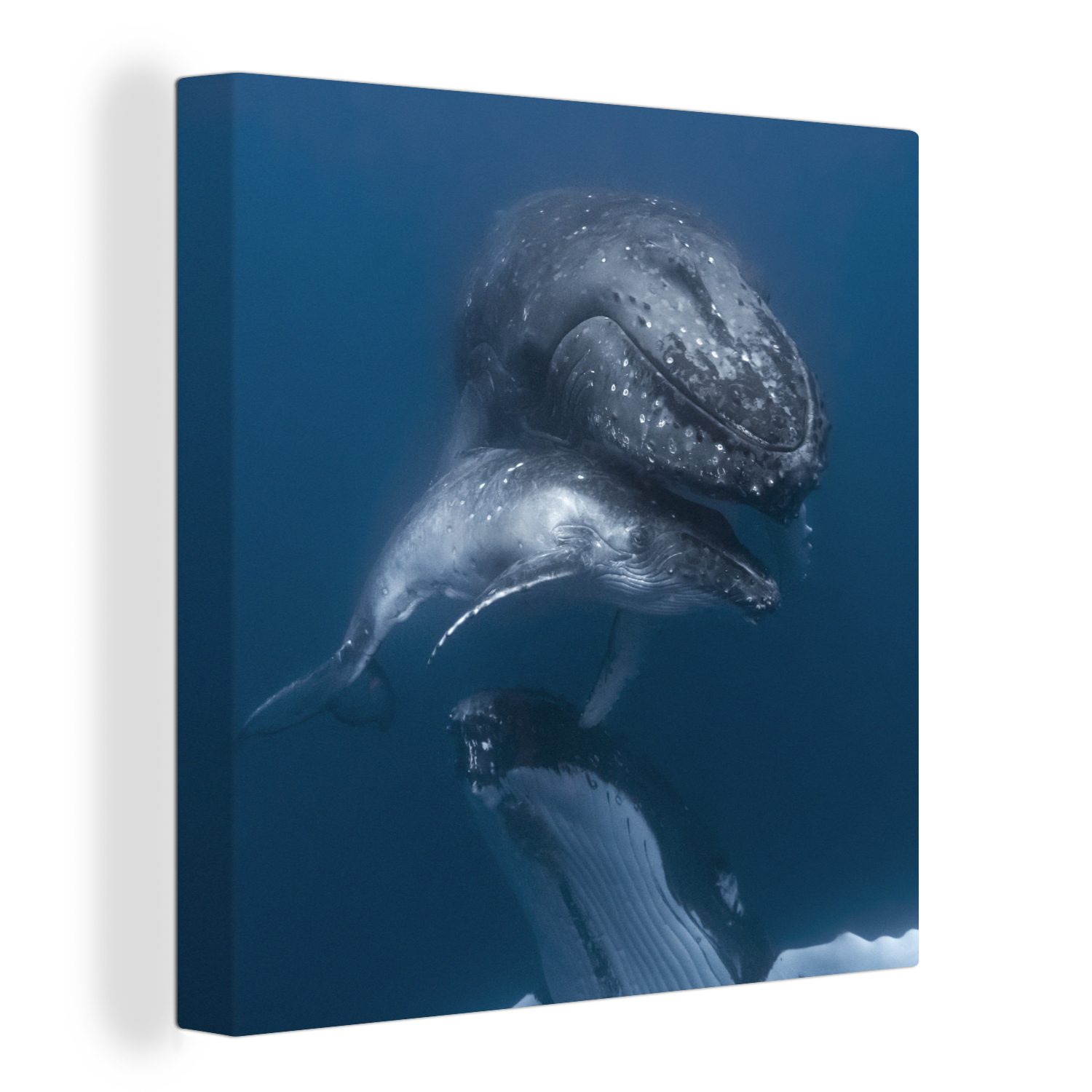 OneMillionCanvasses® Leinwandbild Wale - Meer - Familie, (1 St), Leinwand Bilder für Wohnzimmer Schlafzimmer