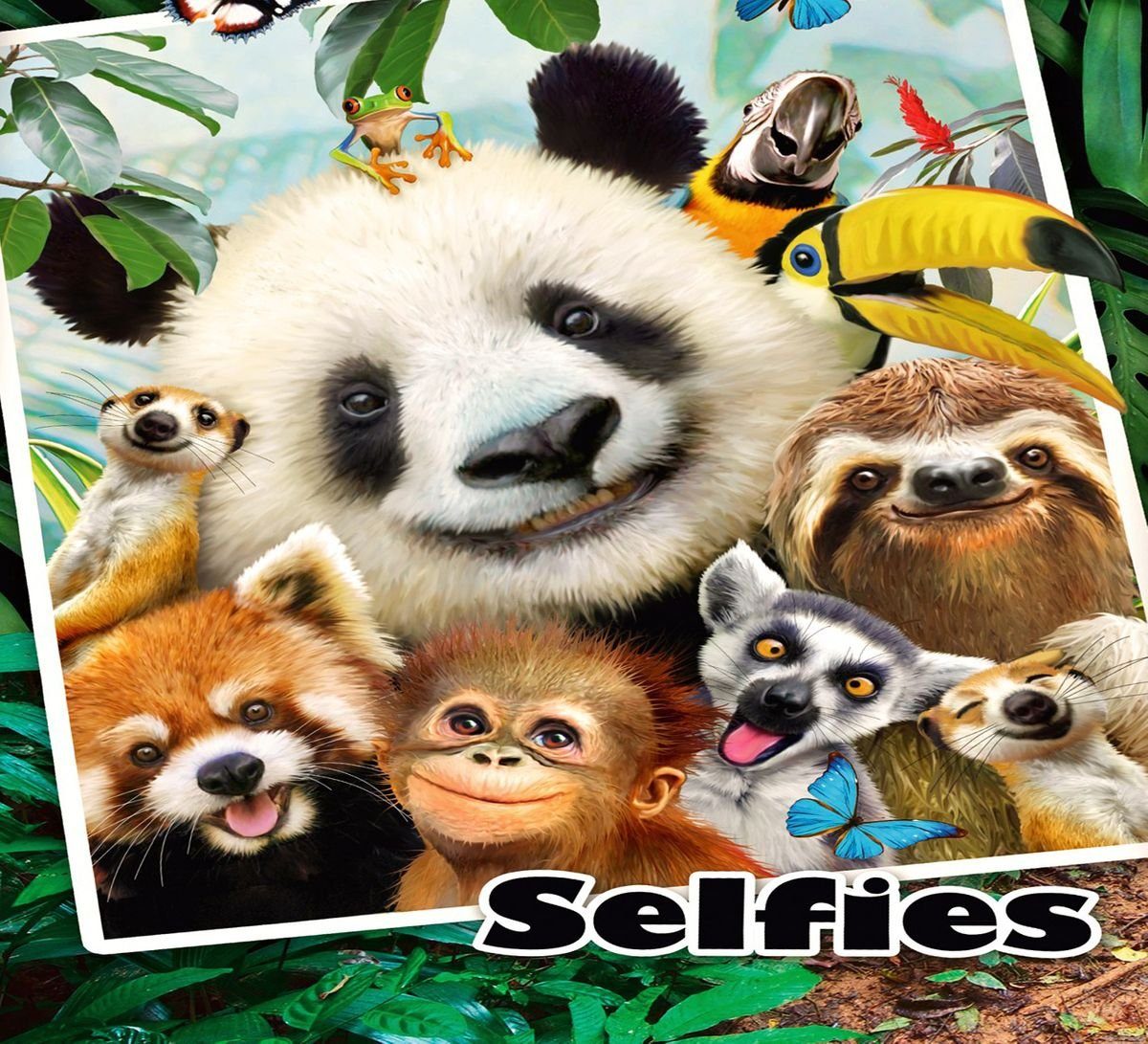 Herding Jugendbettwäsche Selfies Jungle 135x200cm Dschungel günstig online kaufen