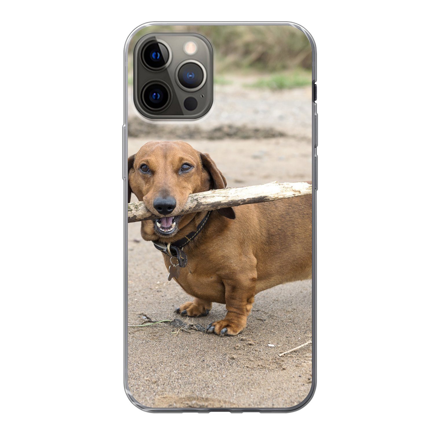 MuchoWow Handyhülle für Apple iPhone 12 Pro Ein schöner Dackel mit einem Stock im Maul, Smartphone-Bumper, Print, Handy Schutzhülle Dünn