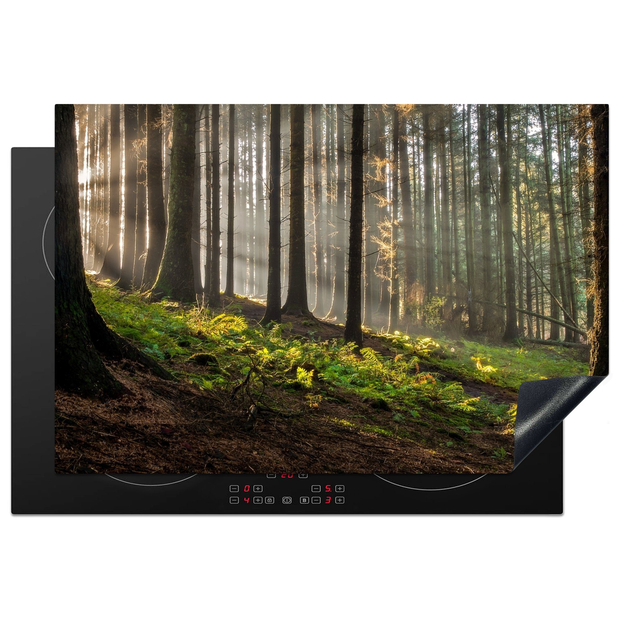 MuchoWow Herdblende-/Abdeckplatte Sonne - Äste - Bäume - Wald - Natur, Vinyl, (1 tlg), 77x51 cm, Ceranfeldabdeckung, Arbeitsplatte für küche