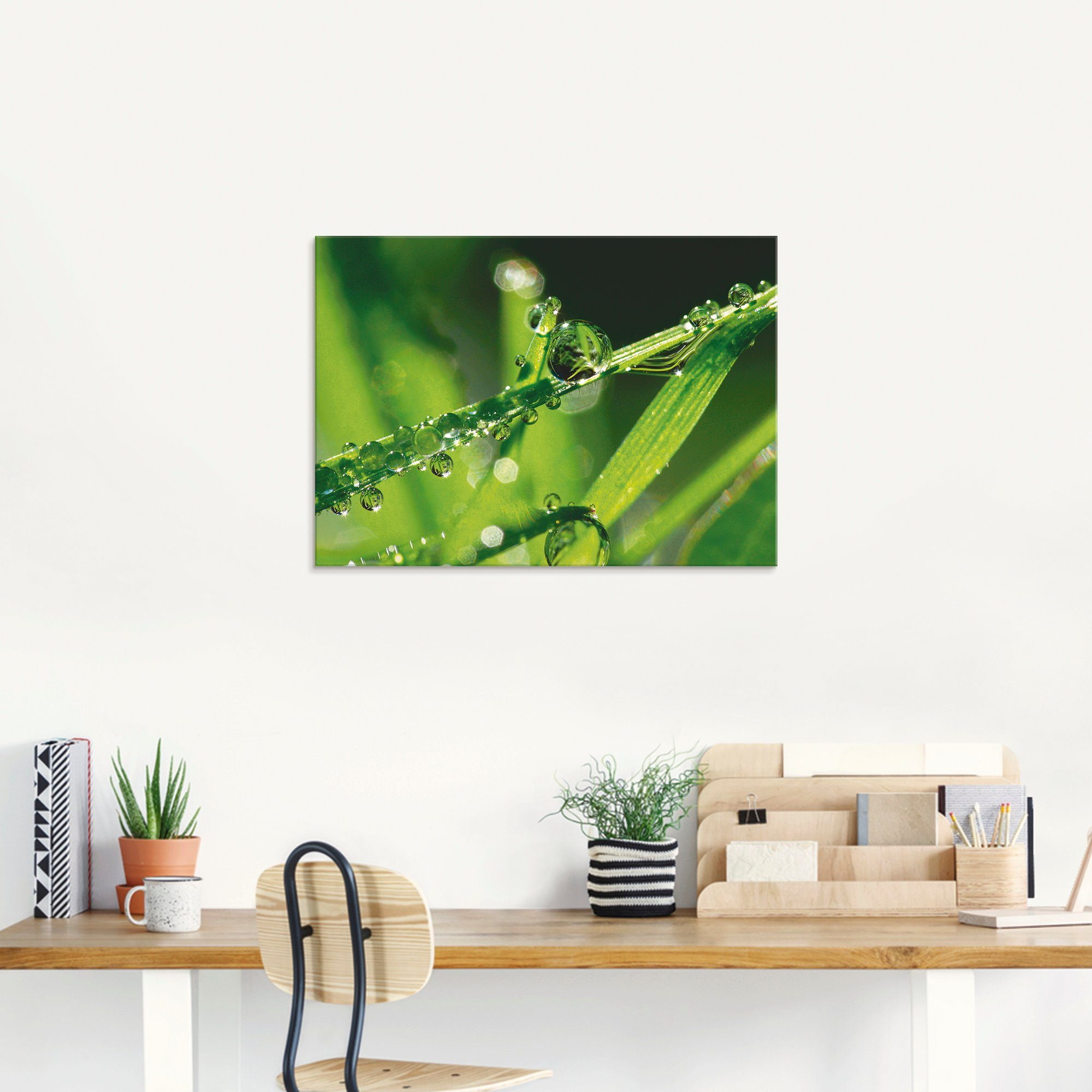 Artland Glasbild »Wassertropfen auf Gras«, Gräser (1 Stück)-kaufen