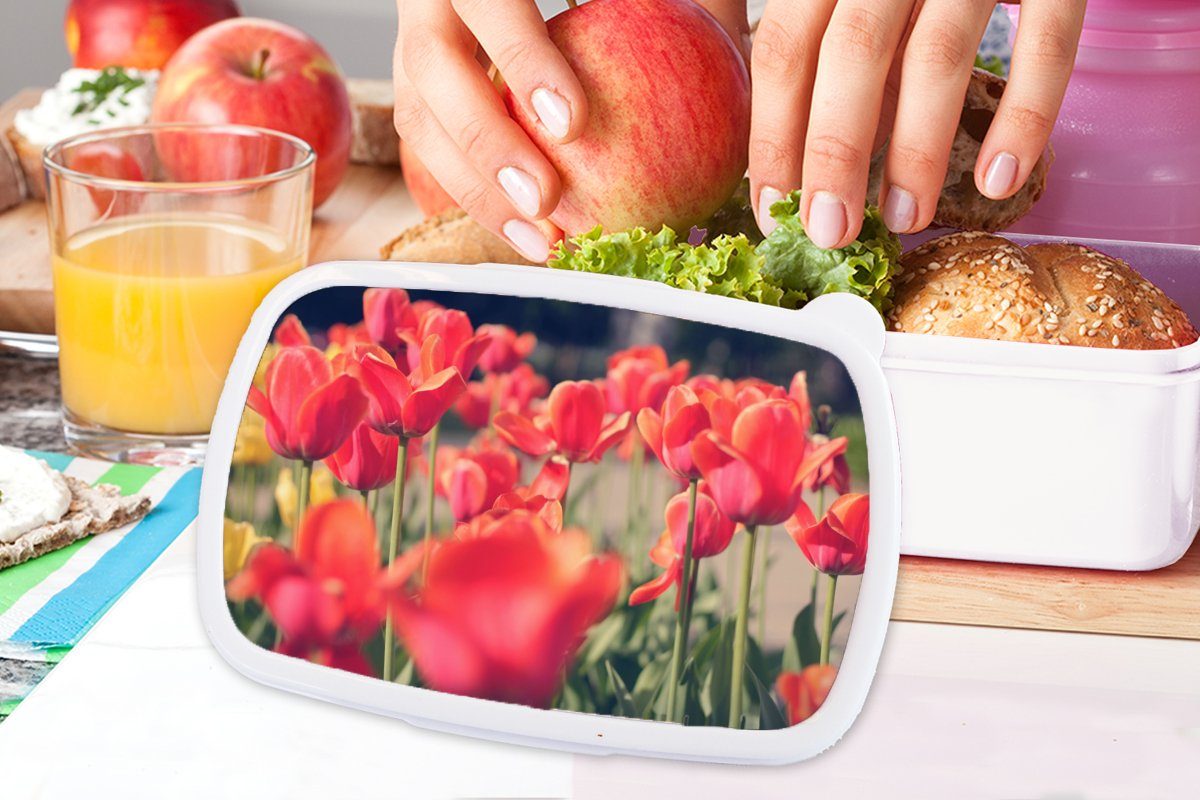 MuchoWow Lunchbox Tulpen - Brotbox Natur, und weiß Erwachsene, für Kinder und (2-tlg), Jungs für Brotdose, Blumen Kunststoff, Mädchen 
