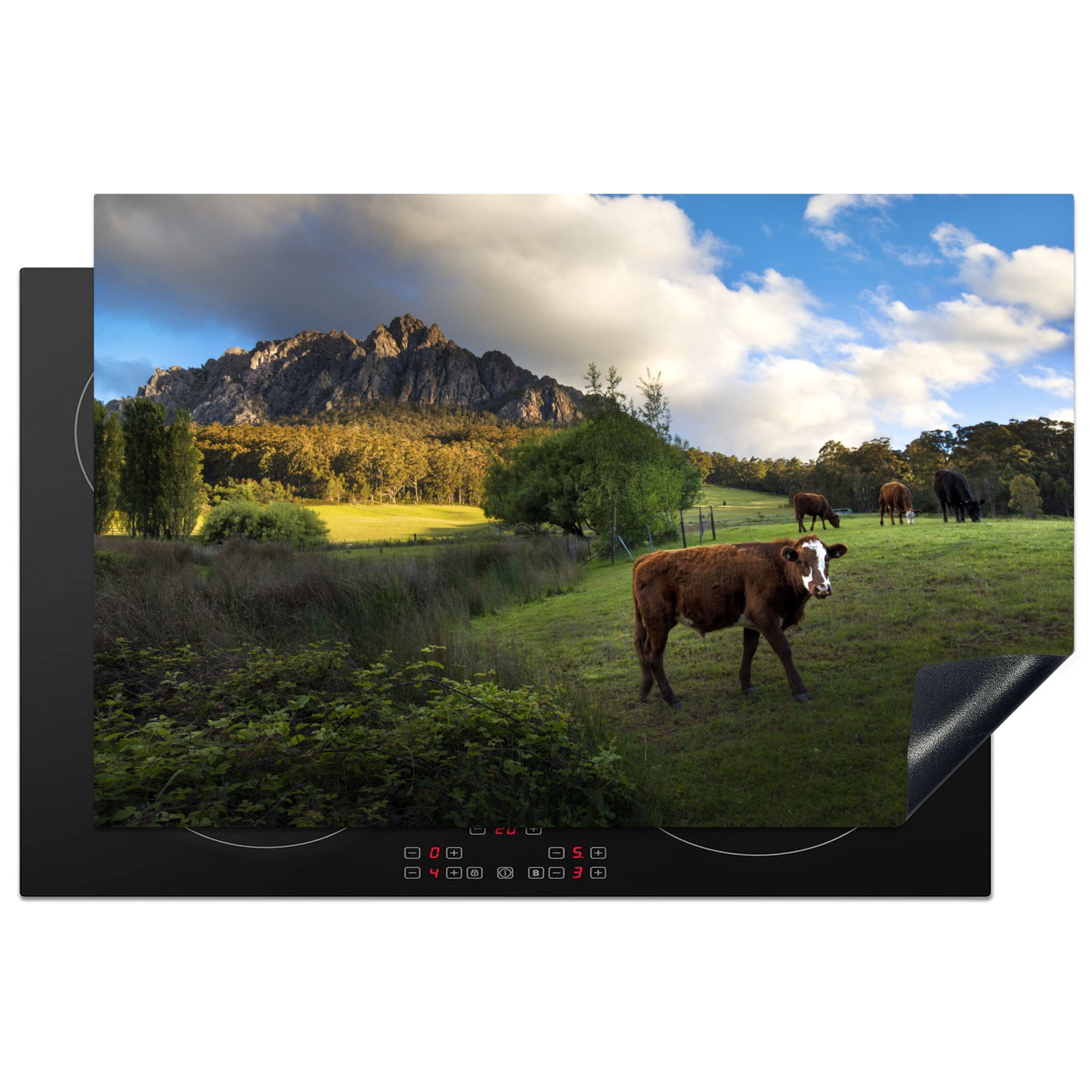 MuchoWow Herdblende-/Abdeckplatte Kühe - Gras - Australien, Vinyl, (1 tlg), 81x52 cm, Induktionskochfeld Schutz für die küche, Ceranfeldabdeckung