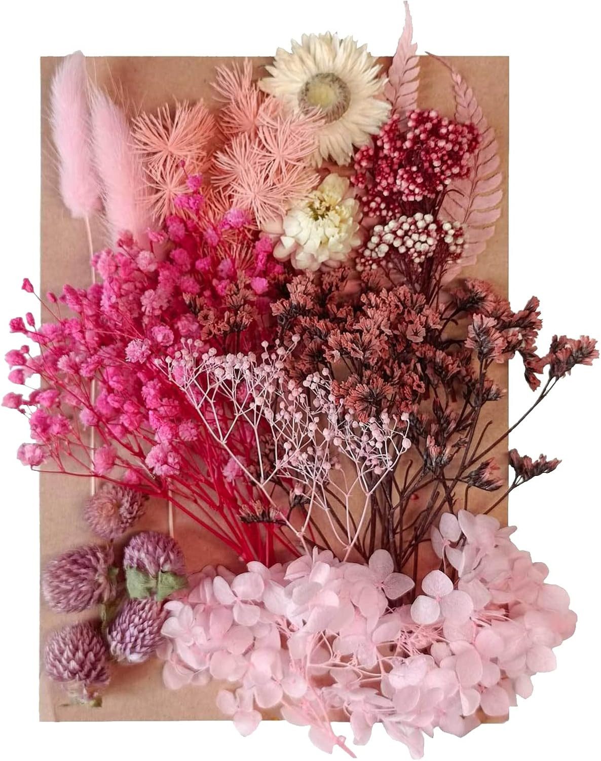 Trockenblume Getrocknete Blumen, Trockenblumen Zum Basteln klein Trockenblumen