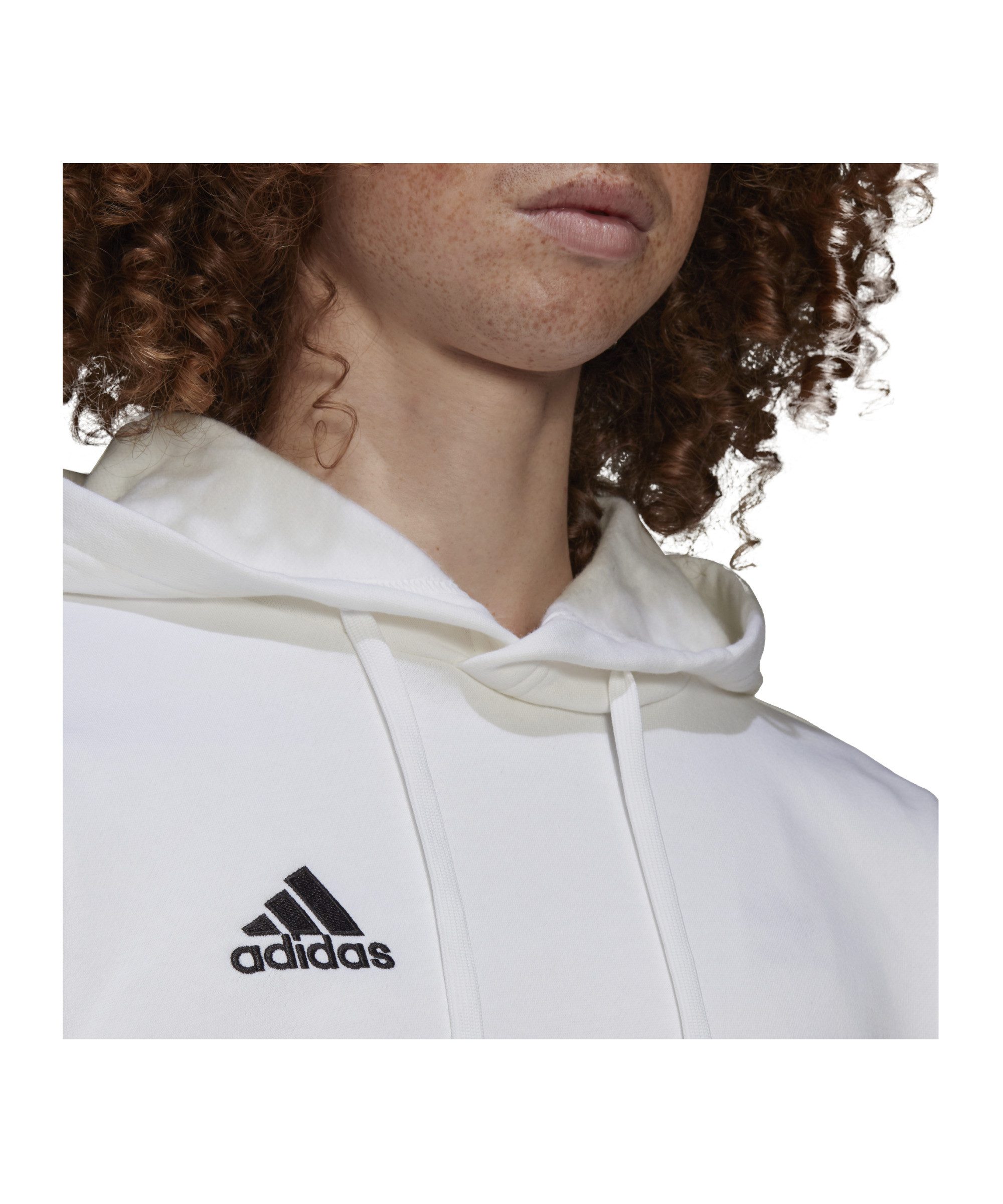 adidas Performance Sweatshirt adidas Performance Entrada 22 Hoody Herren Ba günstig online kaufen