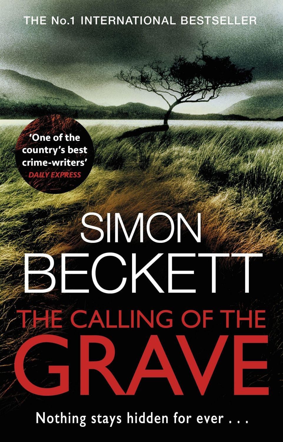 The Calling of the Grave / Simon Beckett, David Hunter 4