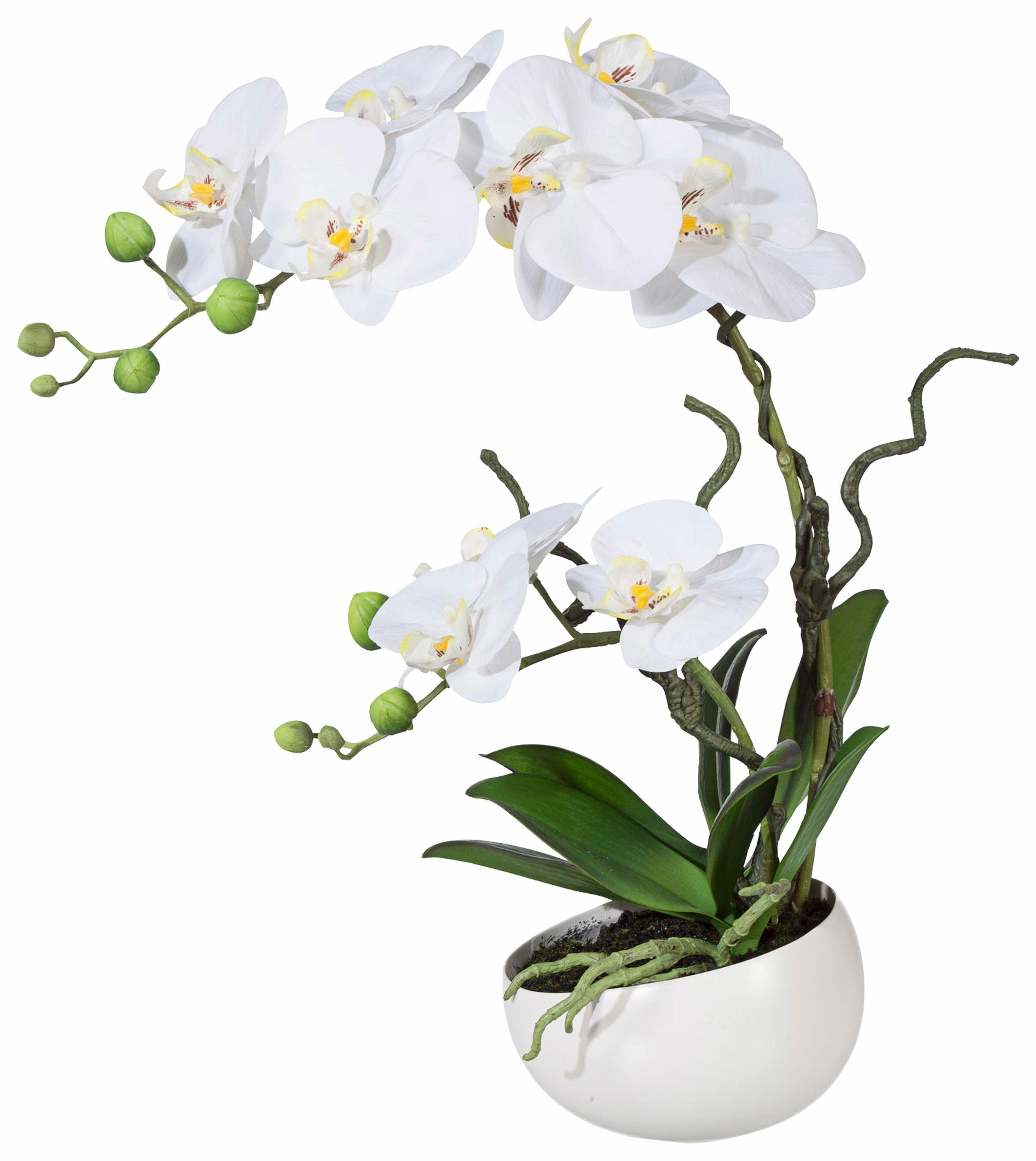 Kunstpflanze »Orchidee« Orchidee, Creativ green, Höhe 42 cm-kaufen