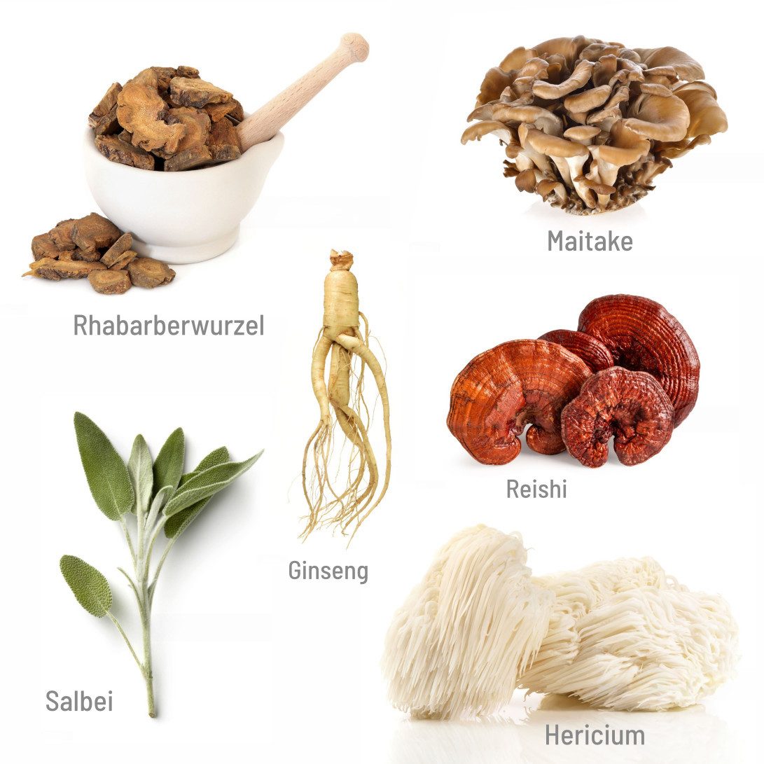 naturalplace® Wechseljahre Komplex mit Vitalpilzen, Salbei und Rhabarberwurzel, Kapseln, 1 er 60 St., 45 g 80 ml