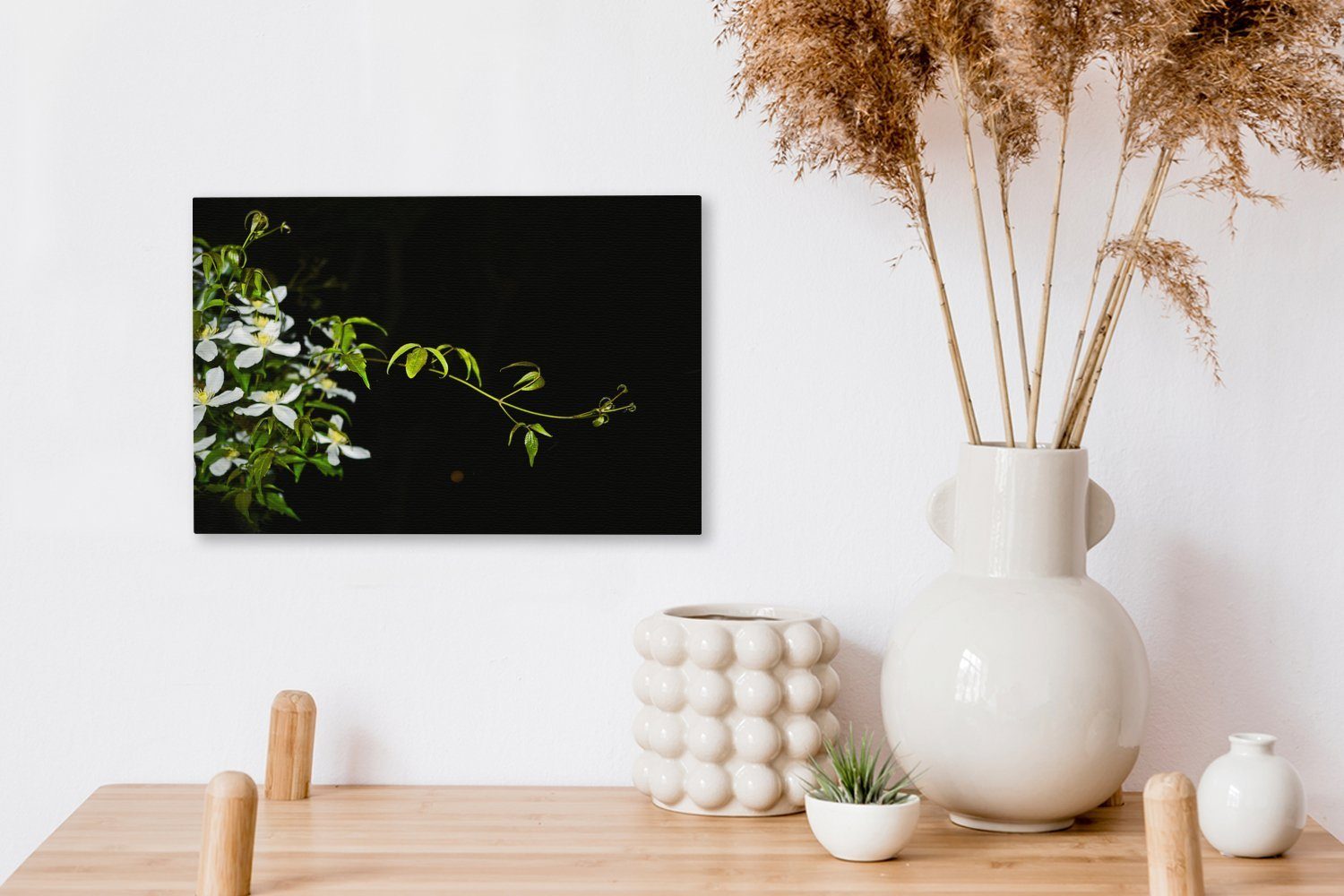 Clematis OneMillionCanvasses® St), auf Aufhängefertig, Ein Wandbild Leinwandbild Zweig schwarzem Hintergrund, (1 cm kriechender Leinwandbilder, 30x20 weißen Wanddeko, einer