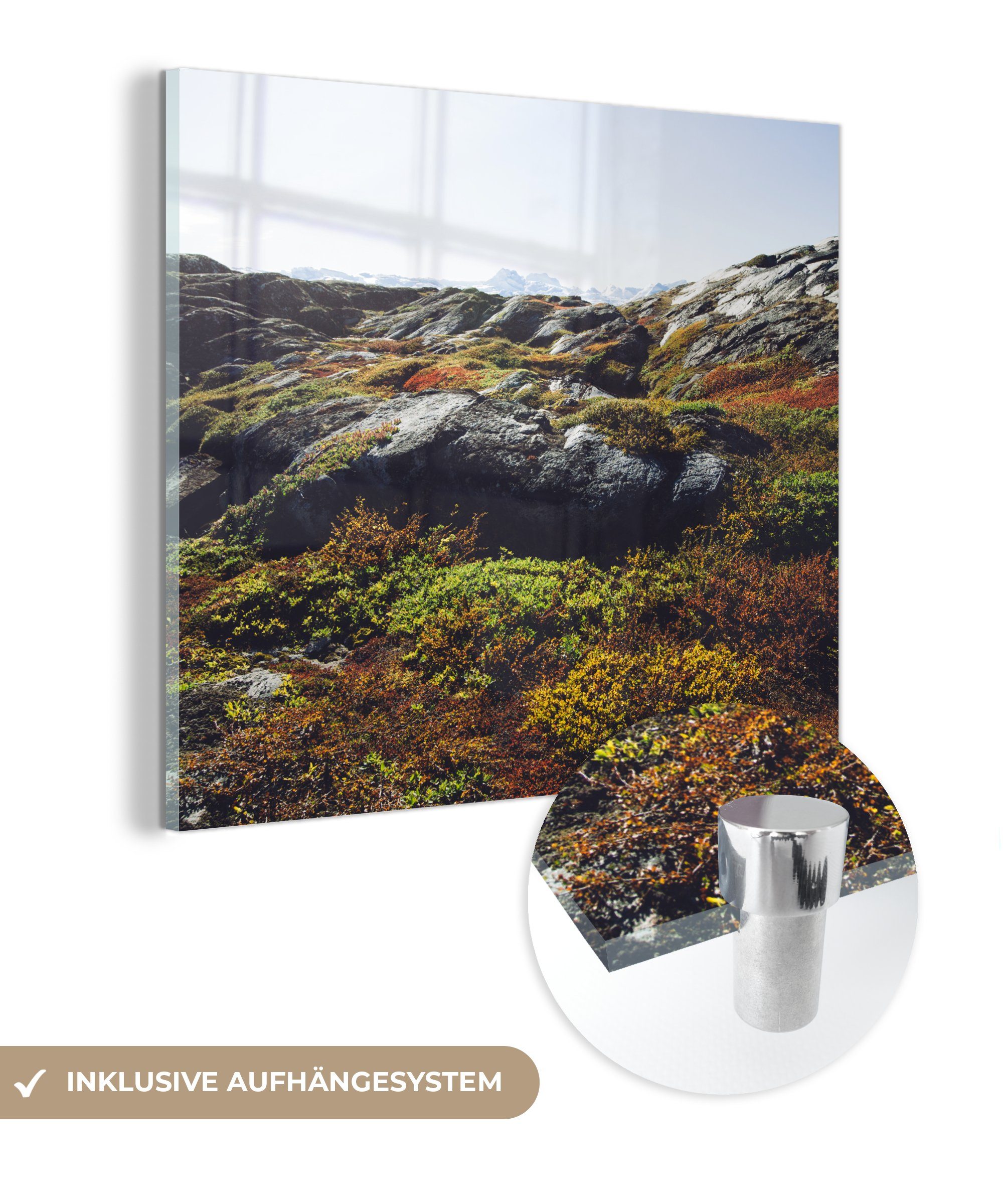MuchoWow Acrylglasbild Tundra in Grönland, (1 St), Glasbilder - Bilder auf Glas Wandbild - Foto auf Glas - Wanddekoration