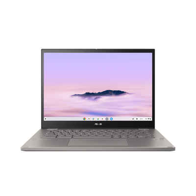Asus Chromebook CM3401FFA-LZ0093 Chromebook (35 cm/14 Zoll, 512 GB SSD)