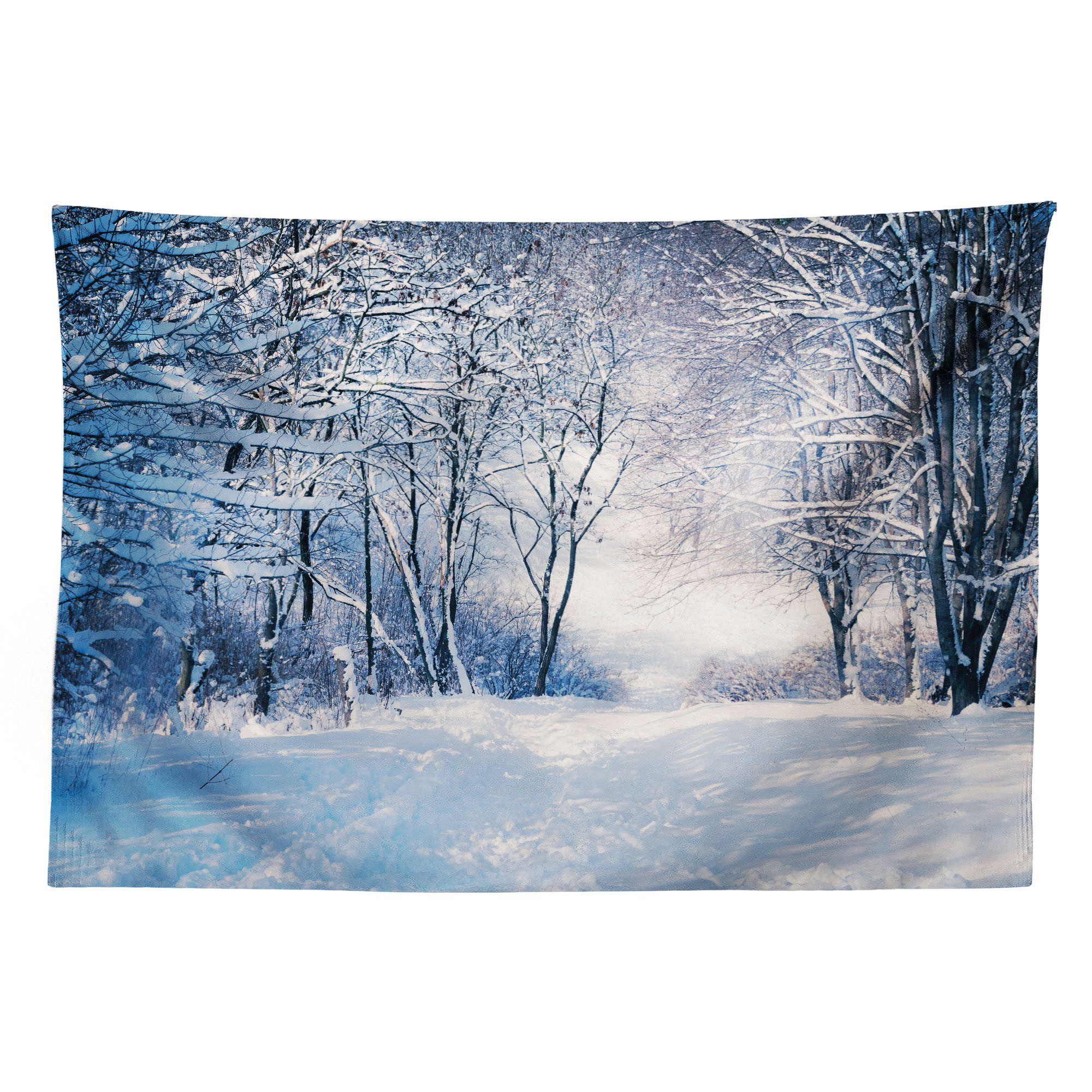 Abakuhaus Wandteppich aus Weiches Mikrofaser Stoff Für das Wohn und Schlafzimmer, rechteckig, Winter Alley in verschneitem Wald