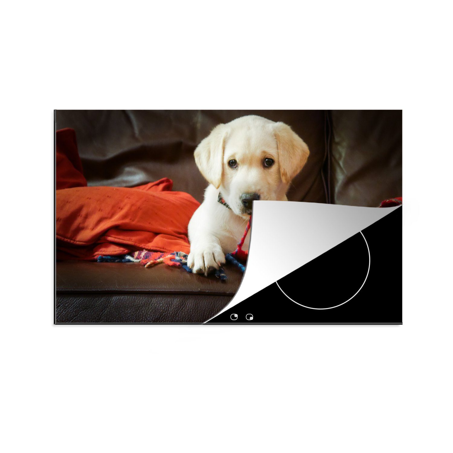 Ceranfeldabdeckung, küche Herdblende-/Abdeckplatte Welpe Labrador für Decke, Arbeitsplatte cm, MuchoWow mit 83x51 Vinyl, tlg), (1