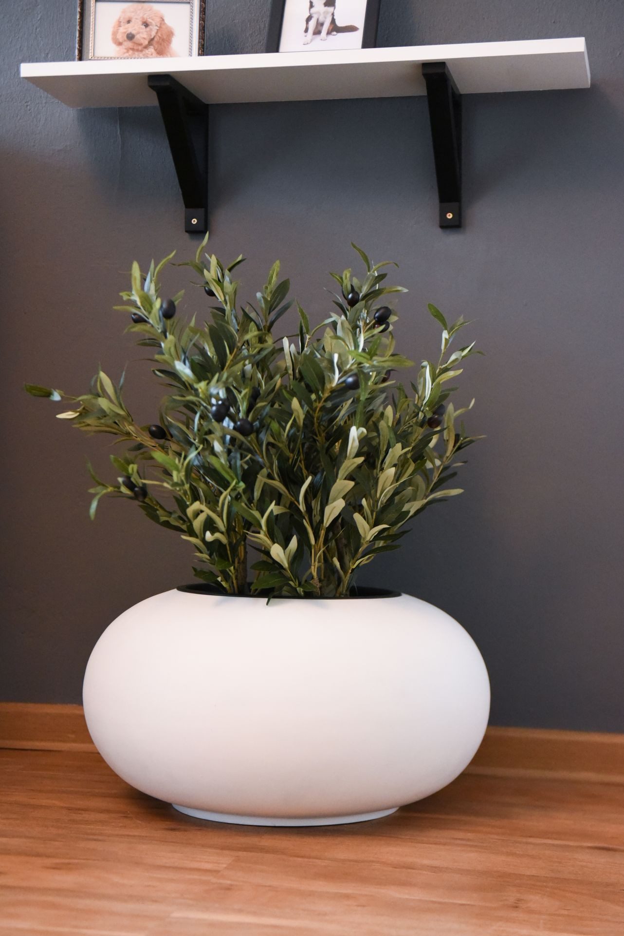 VIVANNO Blumentopf Fiberglas VIGLIA Rund - günstig online kaufen