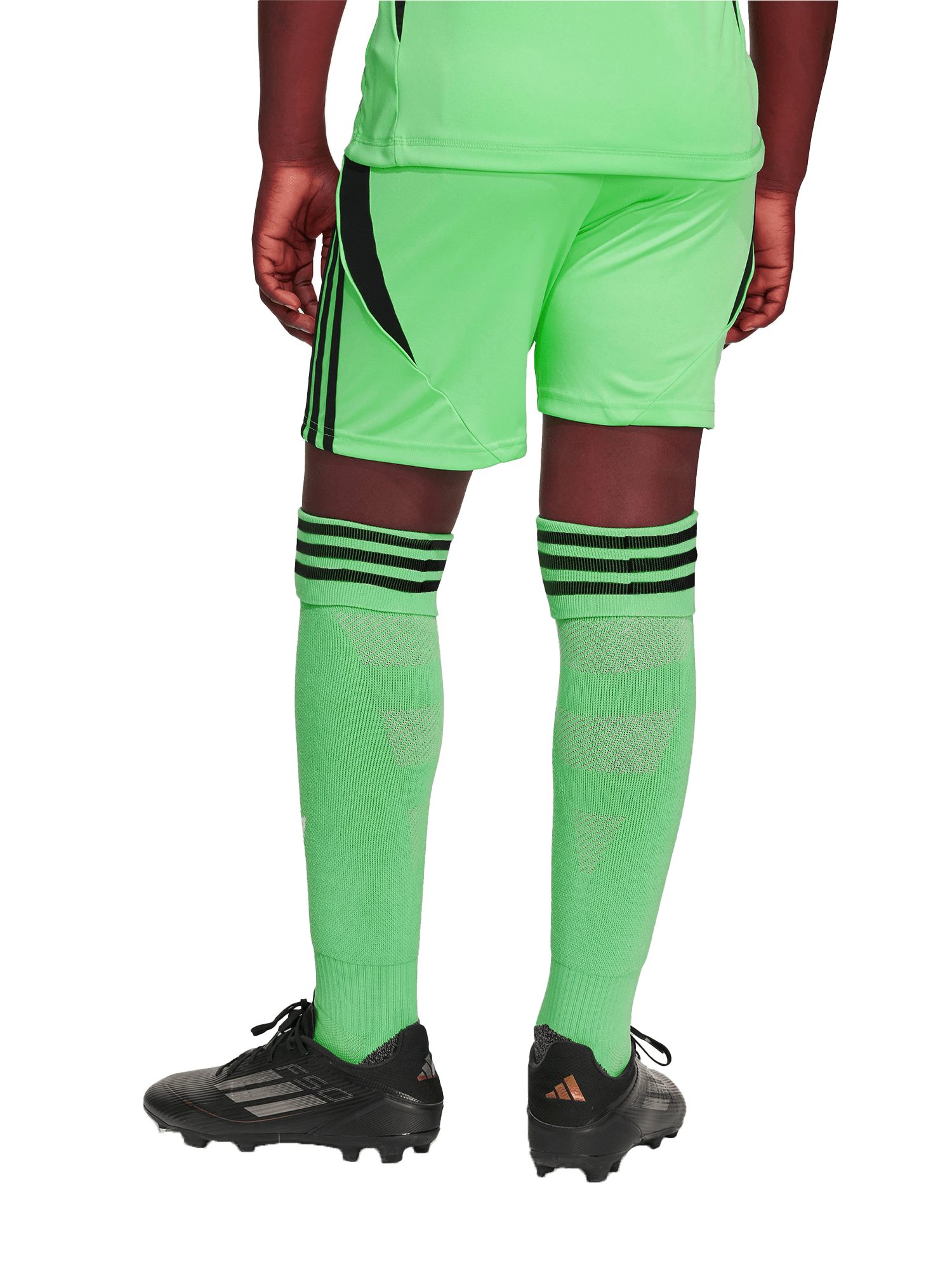 adidas Performance Shorts FC Bayern München, Short Torwart 25-26, Kinder, Grün