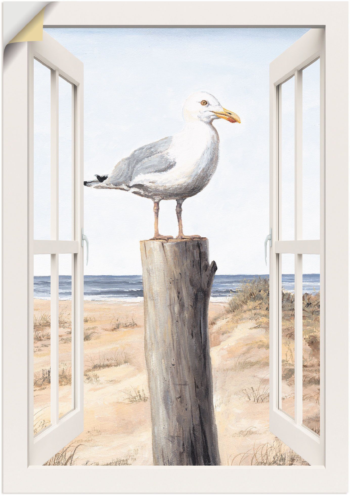 Artland Wandbild Möwe Fensterblick, Vogelbilder Alubild, Größen Leinwandbild, als in oder Wandaufkleber versch. Poster (1 St)