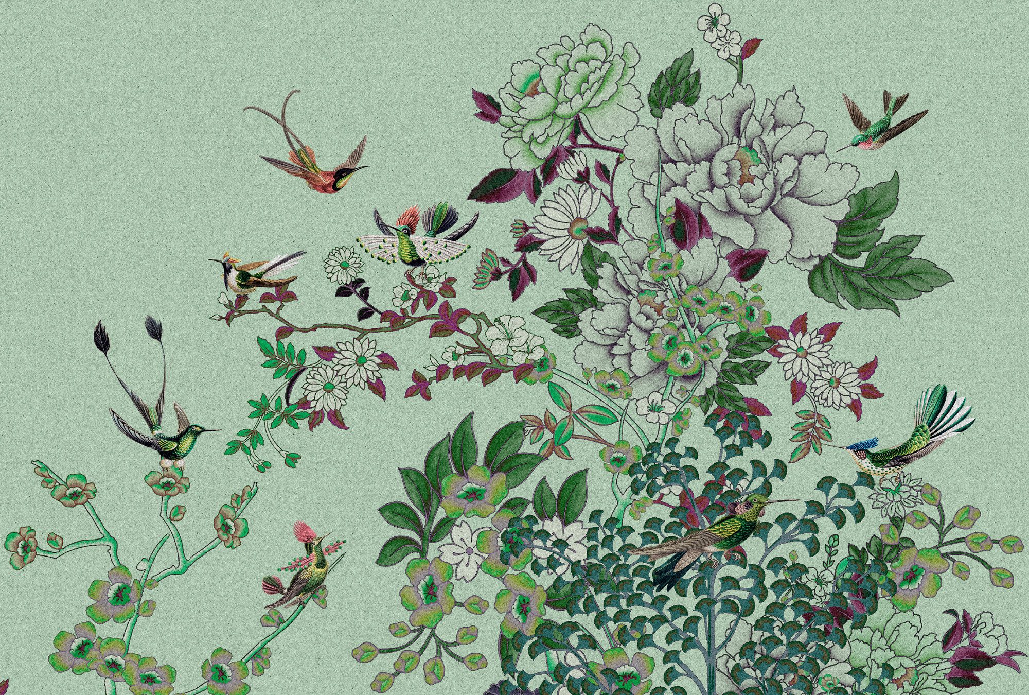 living walls Vliestapete Kolibri-Tapete florales Muster – Vögel & Blumen, glatt, matt, (1 St)