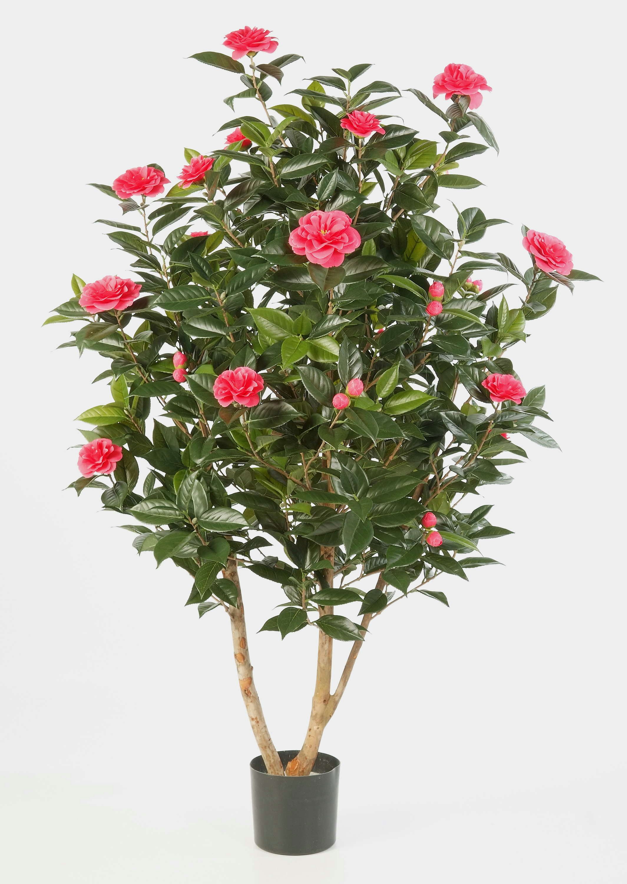 Kunstbaum Deko Kamelie Japonica, 1000 Blätter, 32 Blüten, rosa, 150cm Kamelie, artplants, Höhe 150.0 cm