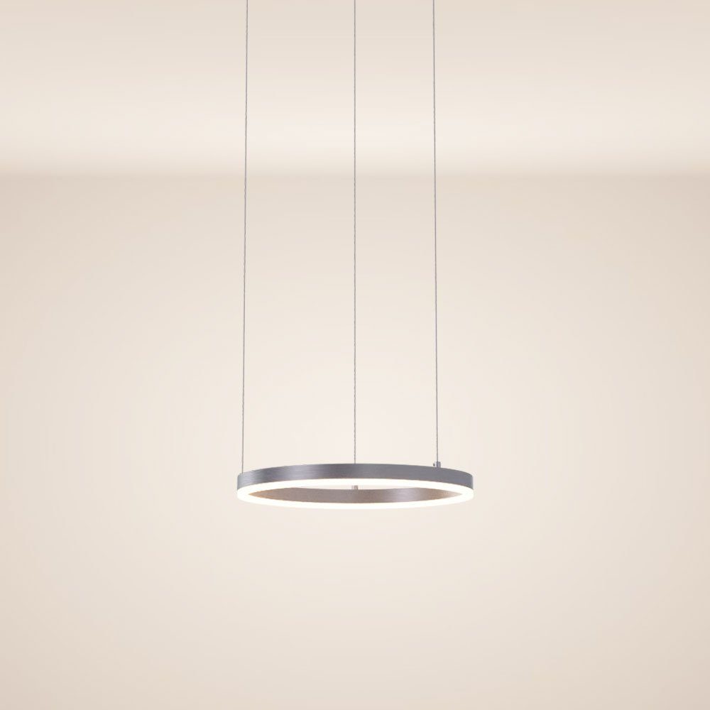 s.luce Pendelleuchte LED Pendelleuchte Ring 40 direkt oder indirekt 5m Abhängung Aluminium, Warmweiß
