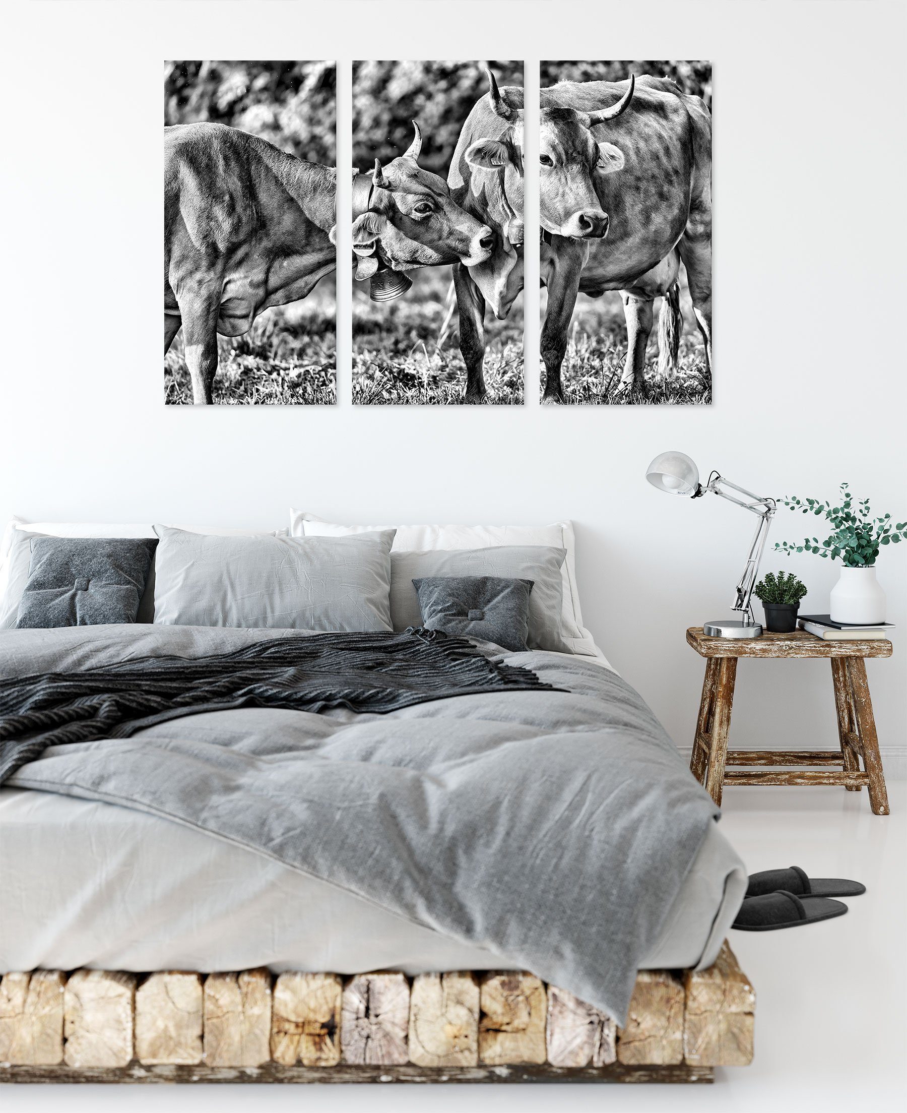 bespannt, auf 3Teiler Kuhbullen Weide Leinwandbild (1 St), fertig Kuhbullen inkl. Pixxprint auf Leinwandbild Zackenaufhänger Weide, (120x80cm)