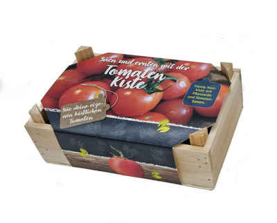 Spetebo Anzuchttopf Holzkiste mit Pflanzenerde und Tomatensamen (Set, 1 St., Anzucht Set für Erdbeeren), Erdbeeren Kiste Anzucht Set