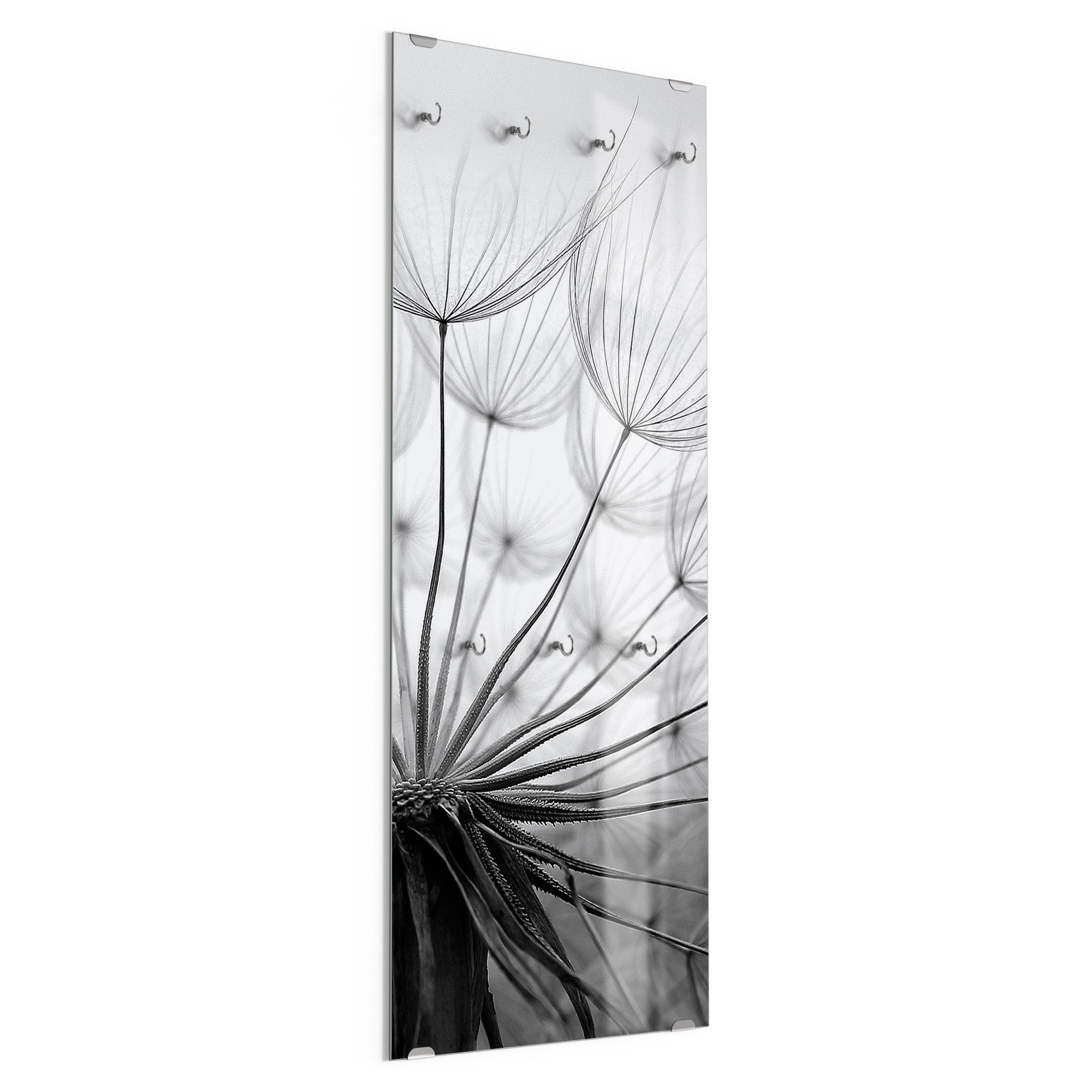 DEQORI Kleiderhaken 'Pusteblume Nahaufnahme', Glas Garderobe hängend Flur Jackenhalter modern Wandgarderobe Haken