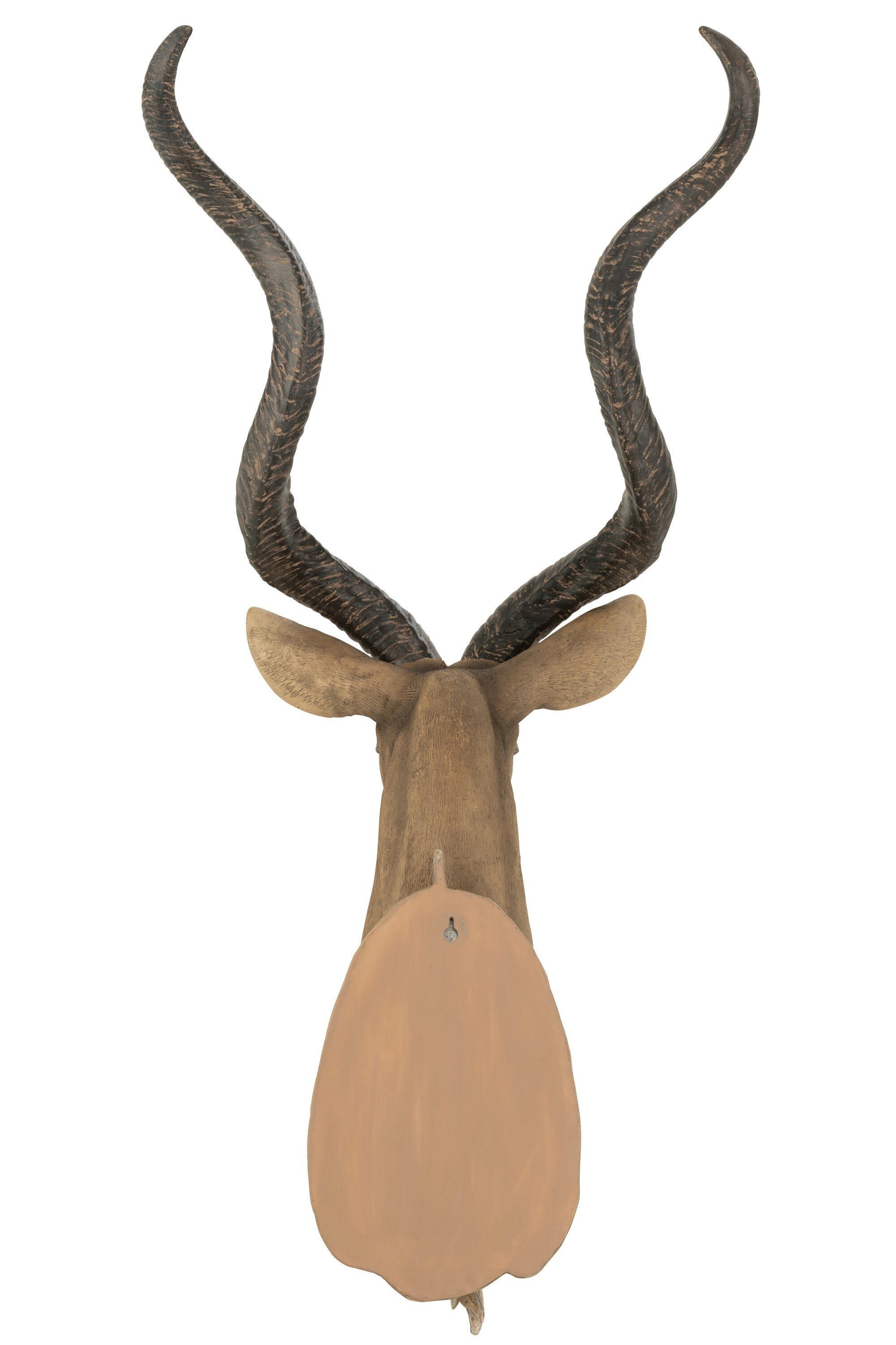 J-line Dekoobjekt Savanna Majoro Wanddekoration Antilopenkopf Braun Poly 85 cm