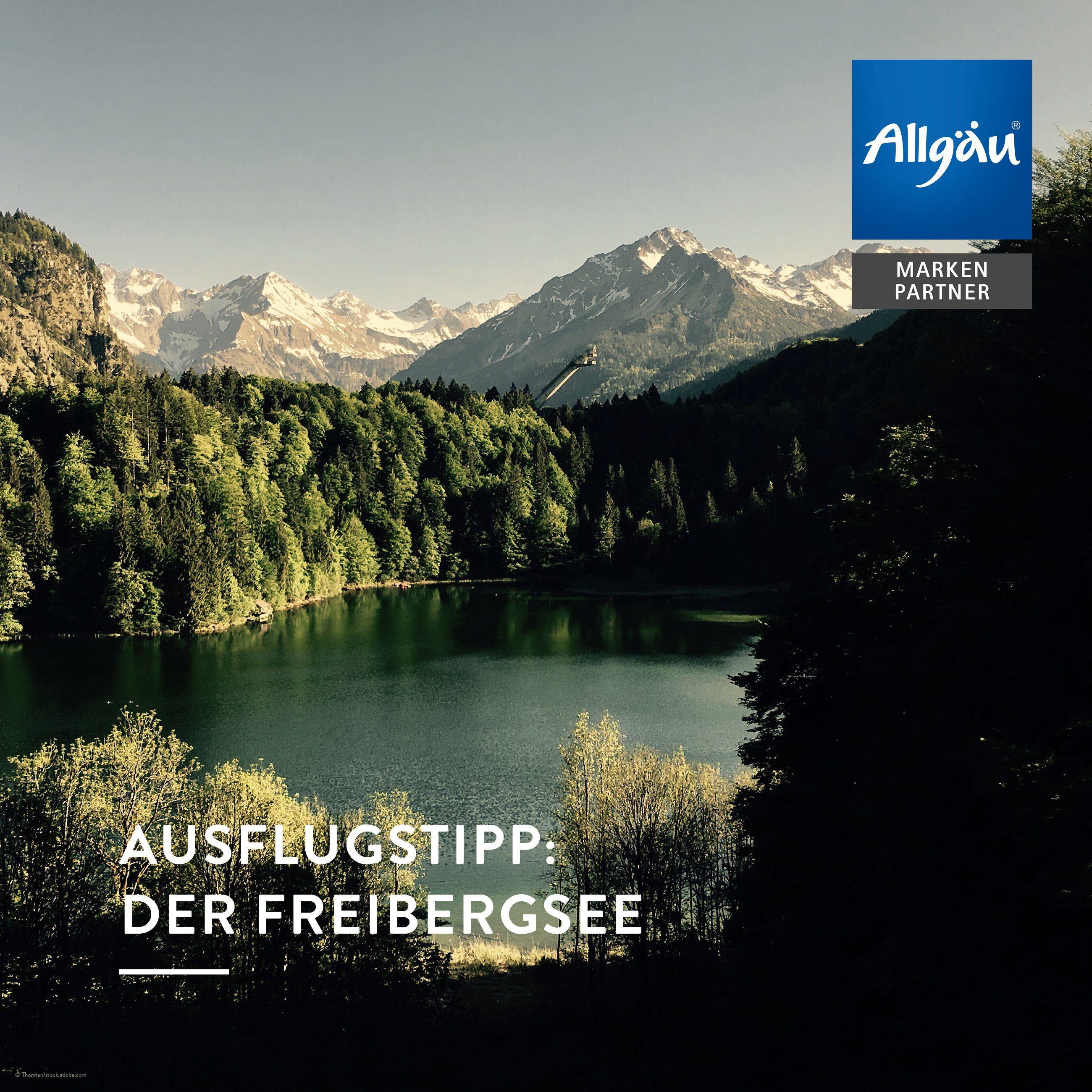 Alpenzirbe, Lorbeer, Allgäuer x Naturluft Infrarotkabinen-Spray Raumduft Kiefer Allgäuquelle Bio 100ml), Fichte Raumduft (1 und mit