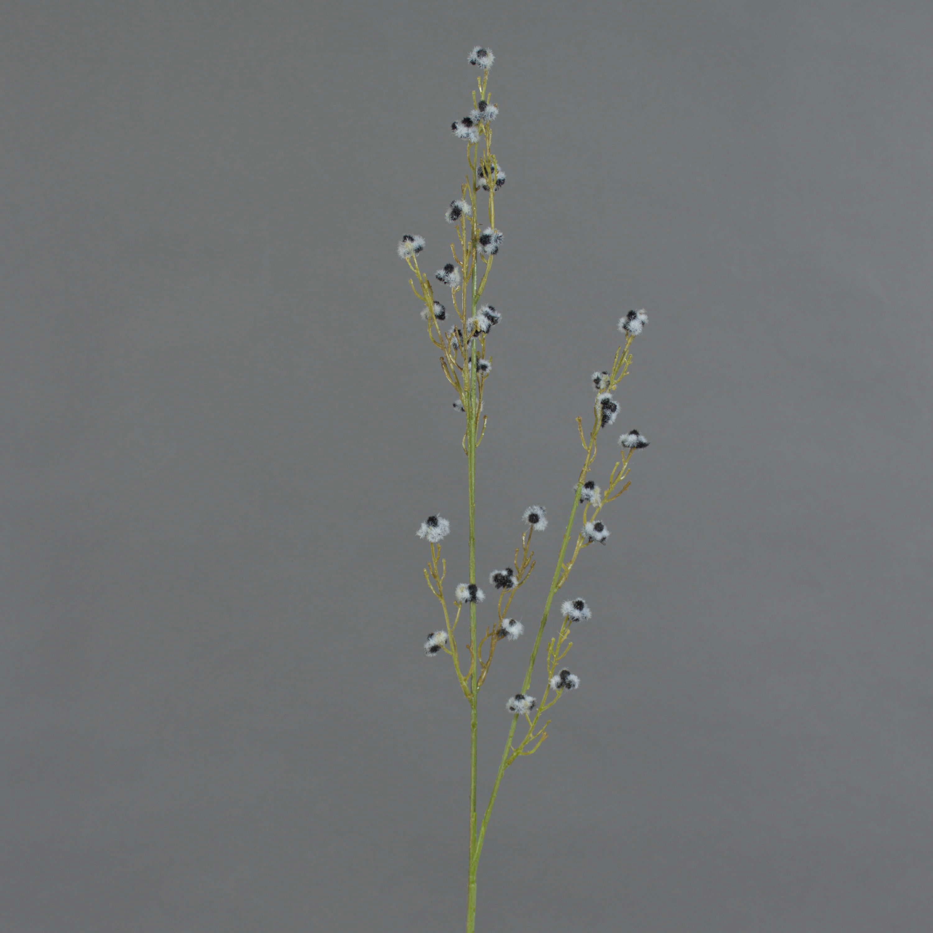 Kunstzweig Künstliche Stirlingia latifolia COLLAN, schwarz-weiß, 85cm Stirlingia, artplants, Höhe 75.0 cm