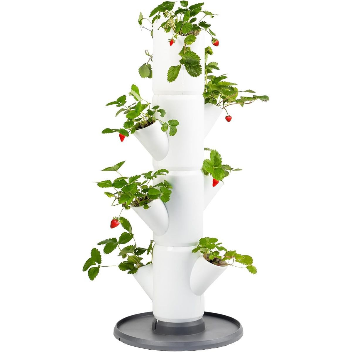 Gusta Garden Hochbeet SISSI STRAWBERRY starter (inkl. Wasserauslaufschutz & Wasserleitsystem), Erdbeerbaum mit 4 Etagen, weiß