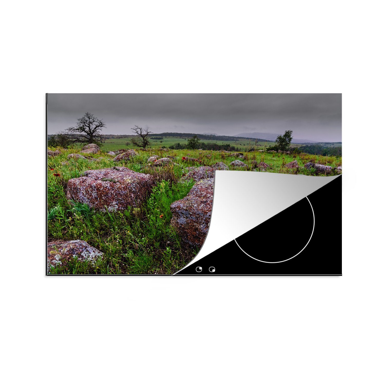 MuchoWow Herdblende-/Abdeckplatte Steine im Rasen, Vinyl, (1 tlg), 81x52 cm, Induktionskochfeld Schutz für die küche, Ceranfeldabdeckung