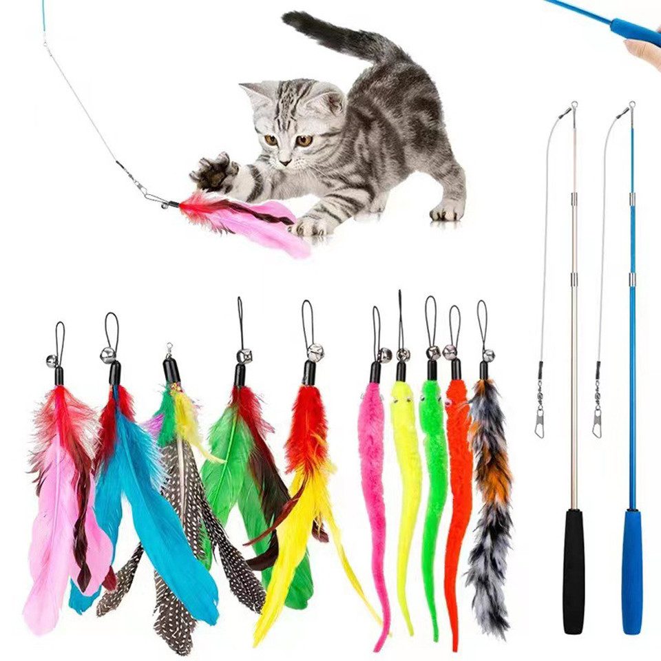 Beaface Tier-Intelligenzspielzeug Katzenspielzeug-Set, 12-teilig, mit auszi günstig online kaufen