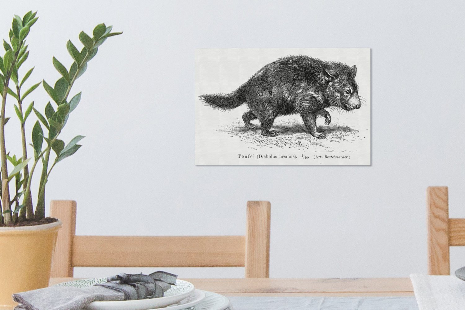 Wandbild tasmanischen Aufhängefertig, eines (1 Eine Teufels, OneMillionCanvasses® Illustration Leinwandbild Leinwandbilder, St), Wanddeko, cm 30x20