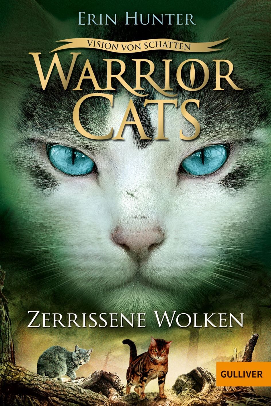 Warrior Cats - Vision von Schatten. Zerrissene Wolken / Erin Hunter, Staffel VI, Band 3