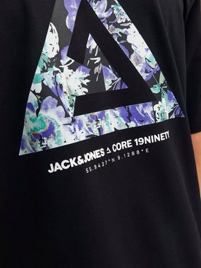 Jack & Jones T-Shirt JCOTRIANGLE SUMMER TEE SS CREW NECK SN