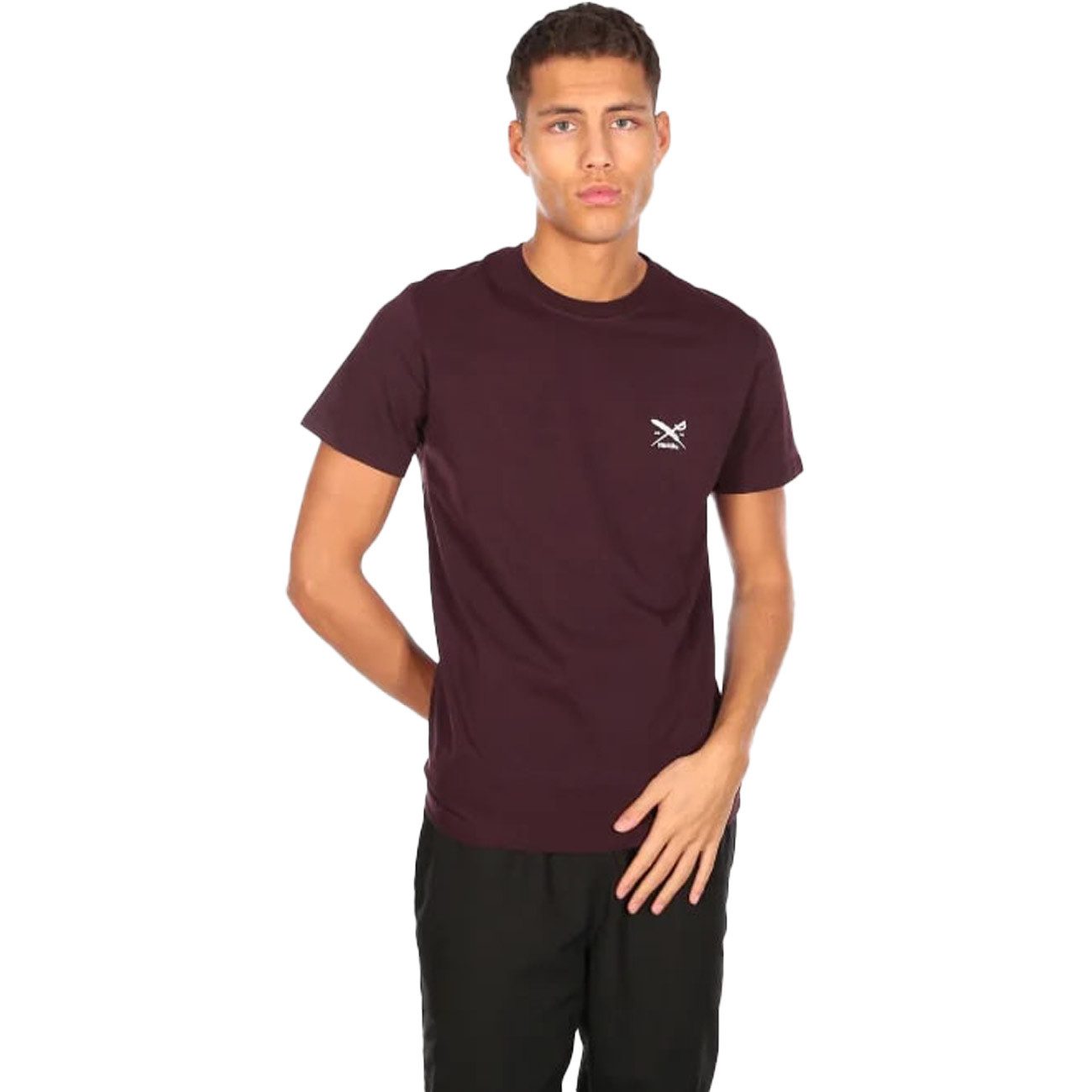 iriedaily T-Shirt Chestflag Tee Chestflag Tee günstig online kaufen