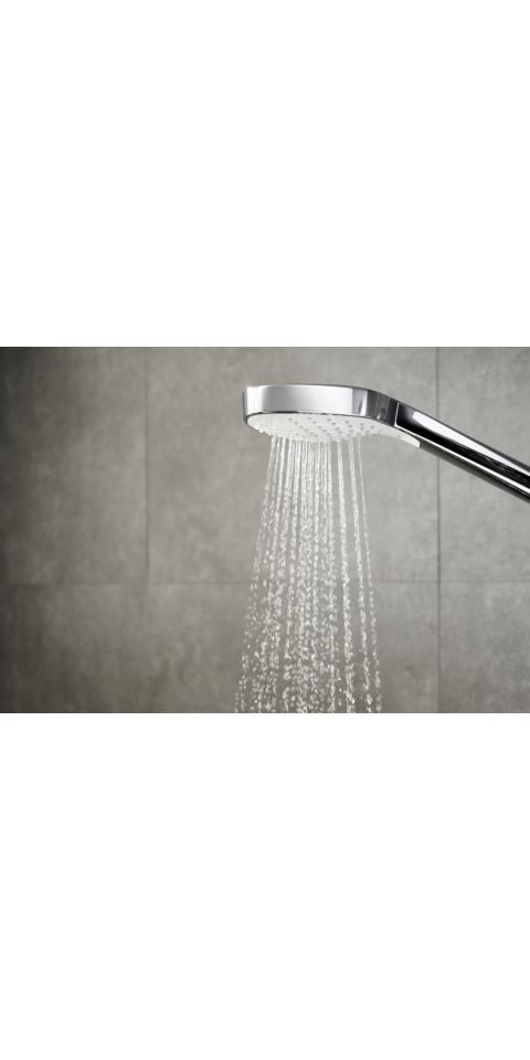 hansgrohe Handbrause