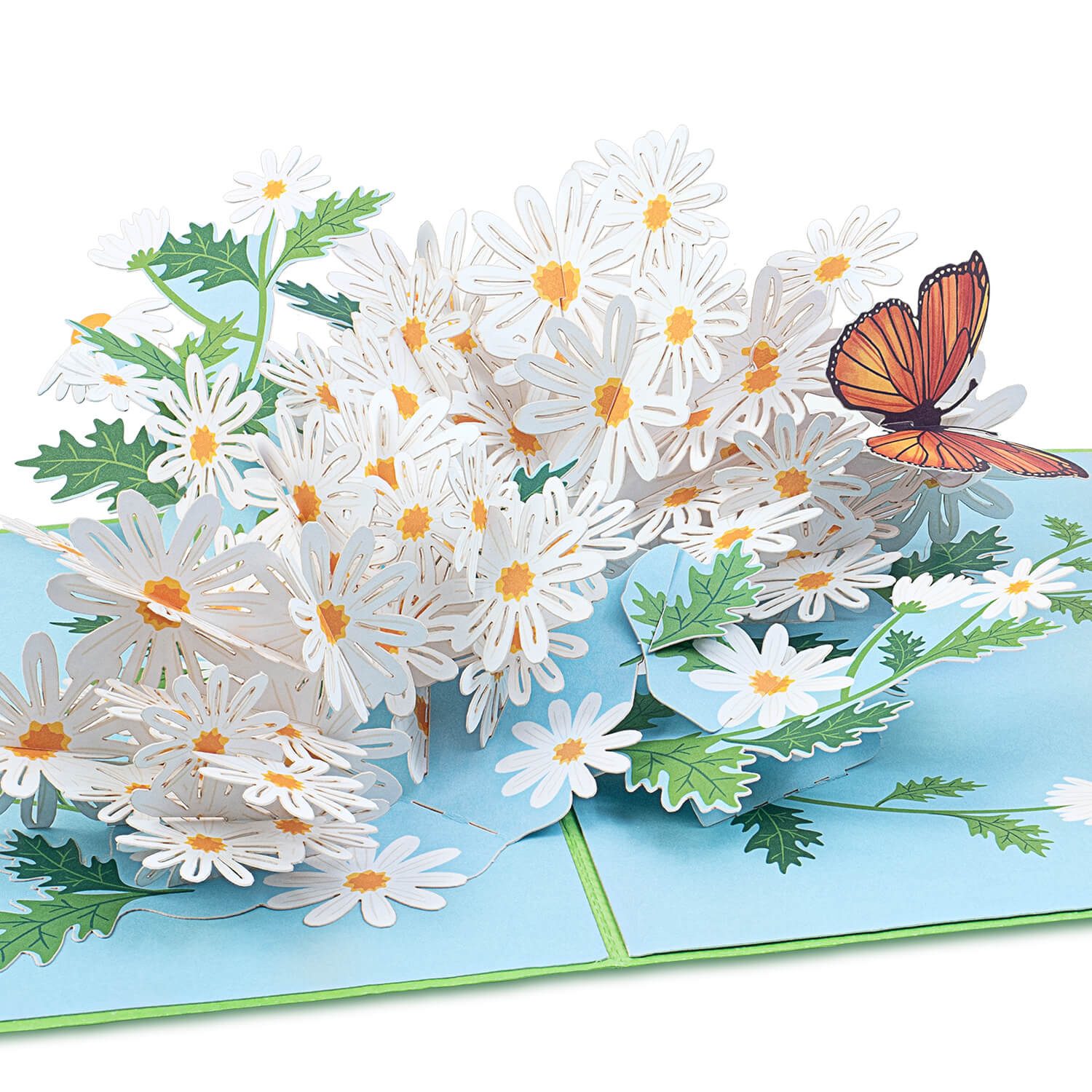 papercrush Geburtstagskarte Gänseblümchen mit Schmetterling Pop-Up Karte