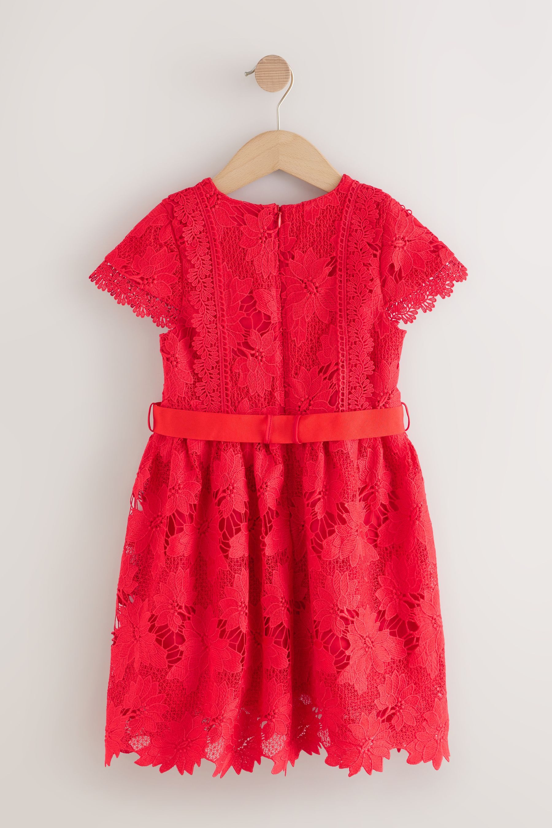 Next Partykleid Spitzenkleid für besondere Anlässe (1-tlg)