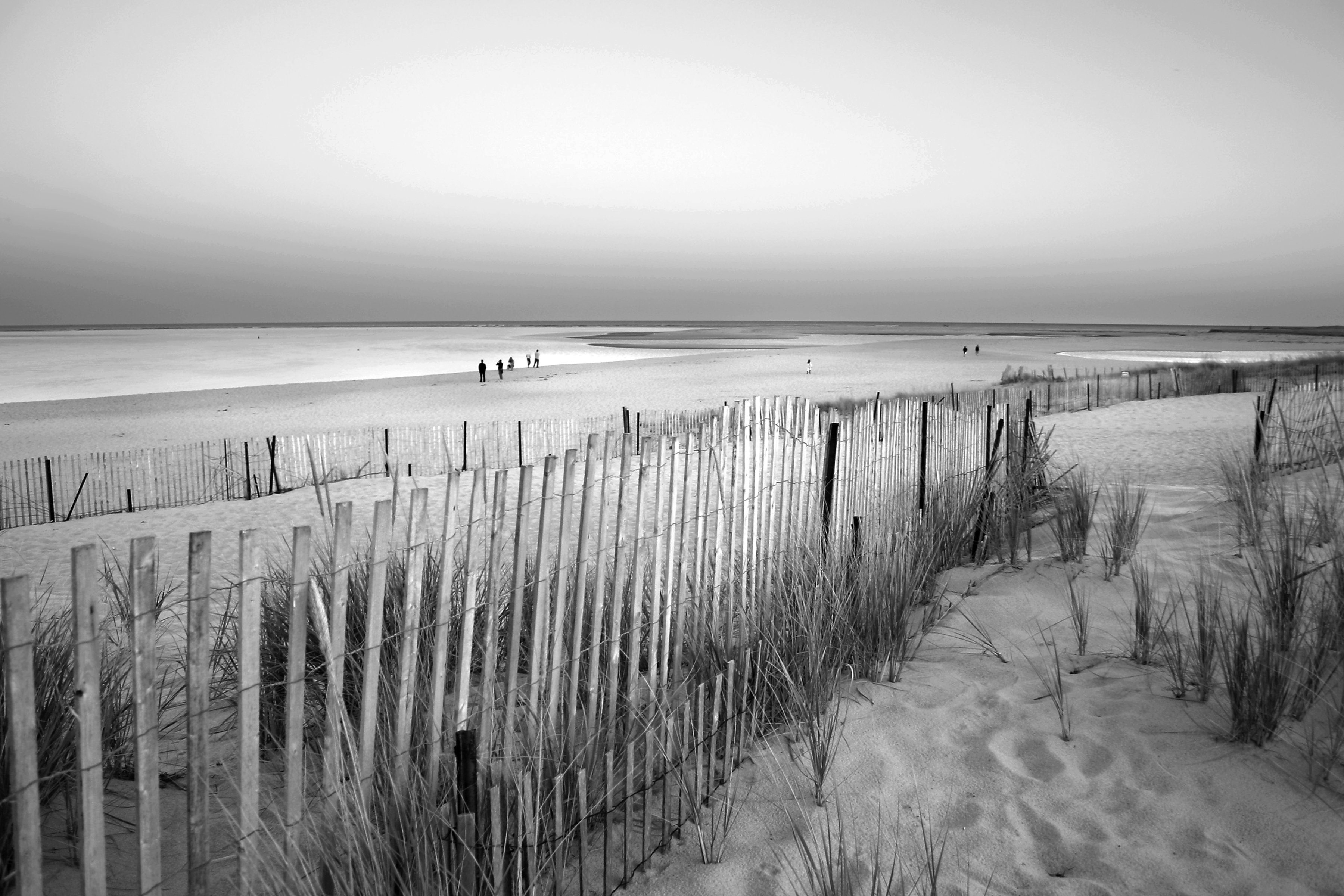 Weiß Fototapete Strand Schwarz & Papermoon