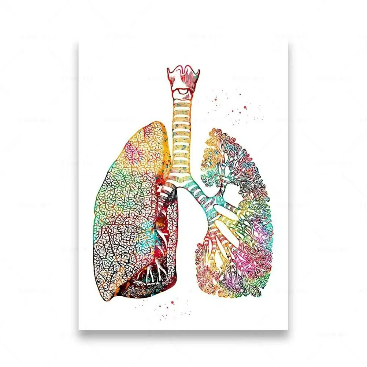 TPFLiving Kunstdruck (OHNE RAHMEN) Poster - Leinwand - Wandbild, Menschliche Anatomie, Wirbelsäule, Herz, Gehirn, Zähne, HD-Leinwand (Leinwandbild XXL), Farben: Orange, Rot, Blau, Schwarz, Weiß, Rosa -Größe: 30x40cm