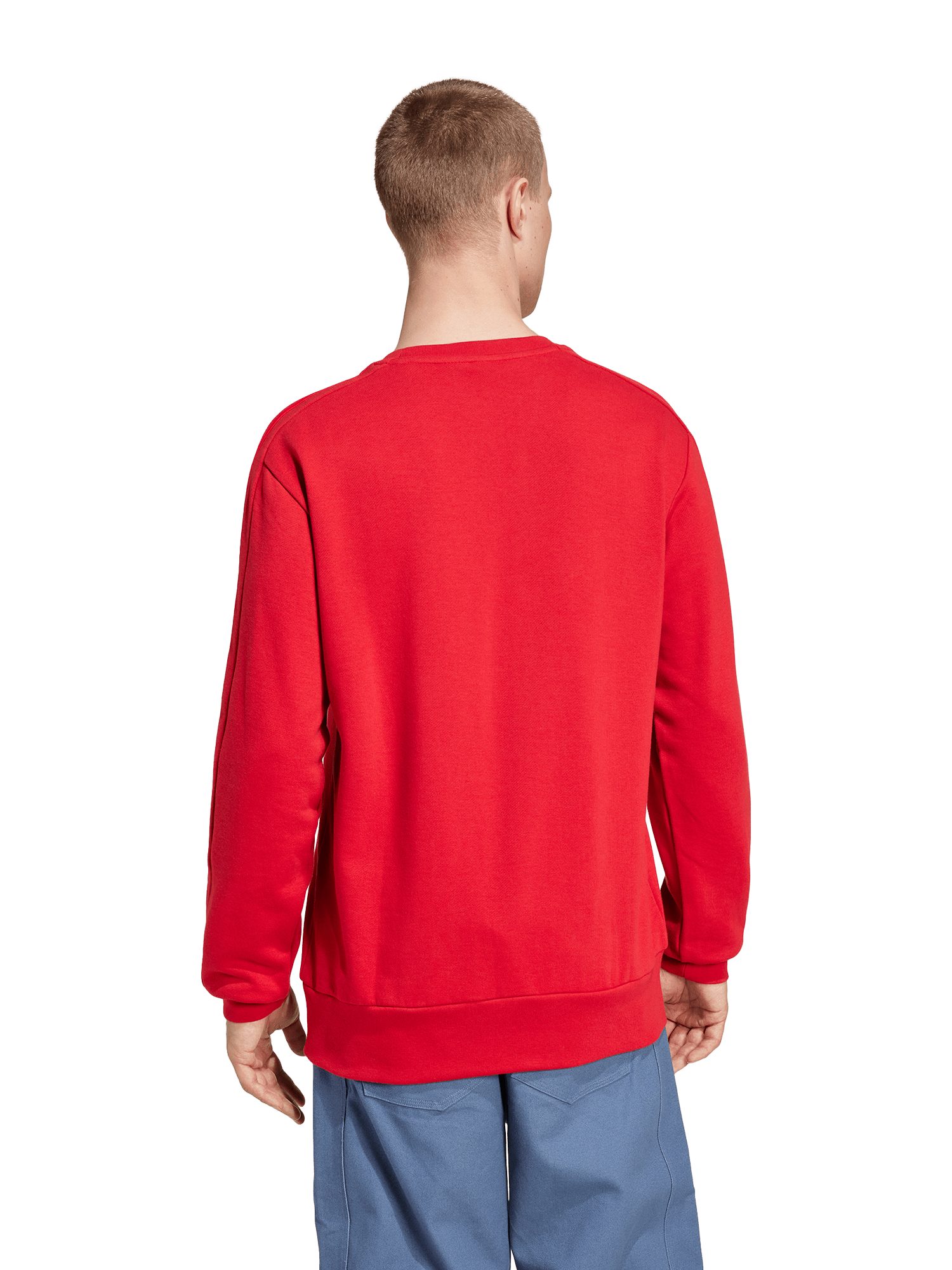 adidas Performance Sweatshirt FC Bayern München, Sweatshirt DNA, Herren, Bo günstig online kaufen