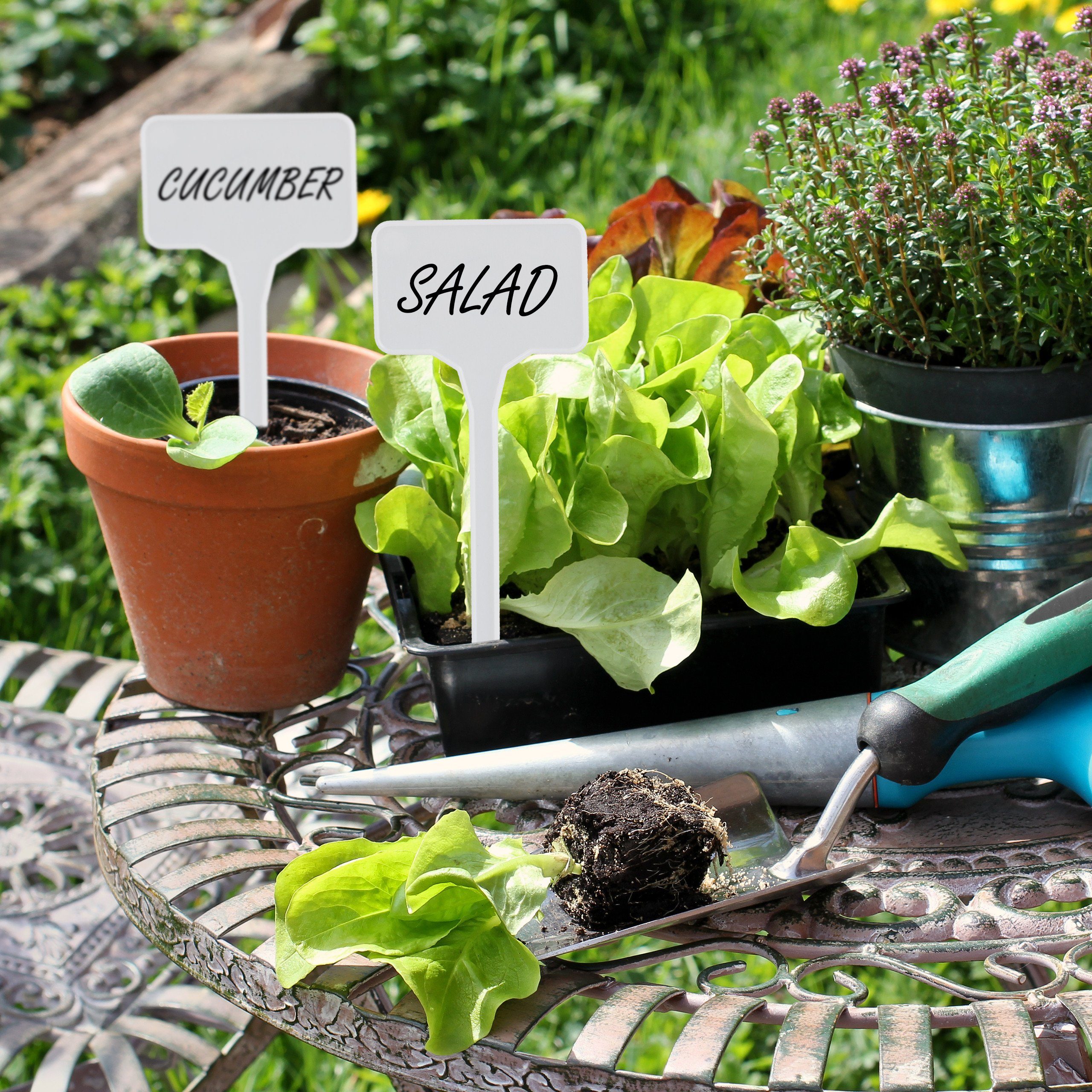 relaxdays Gartenstecker Pflanzenschilder 100 St. zum günstig online kaufen
